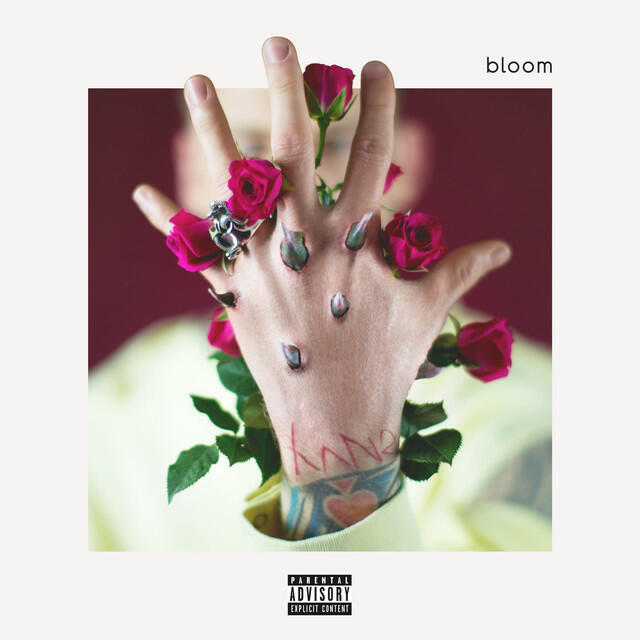 Релиз bloom (Deluxe)