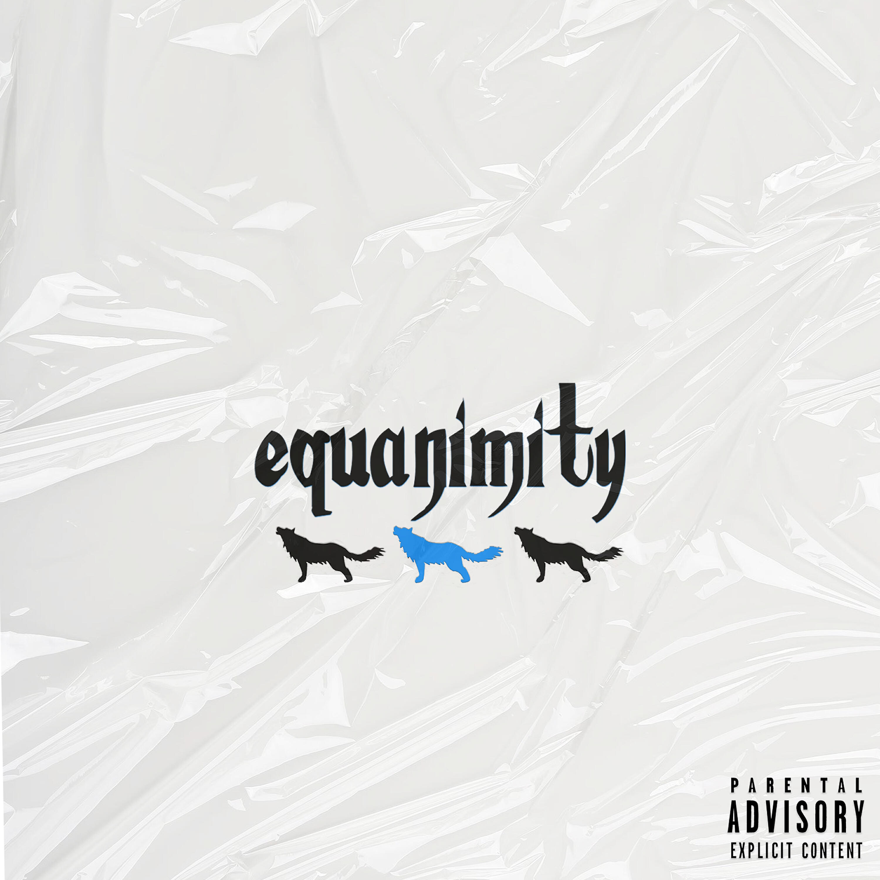 Релиз Equanimity
