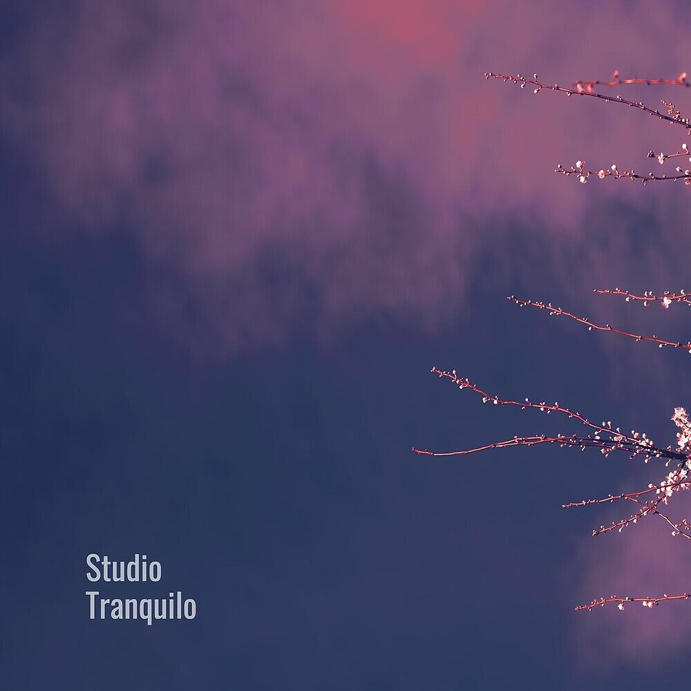 Релиз Consciousness