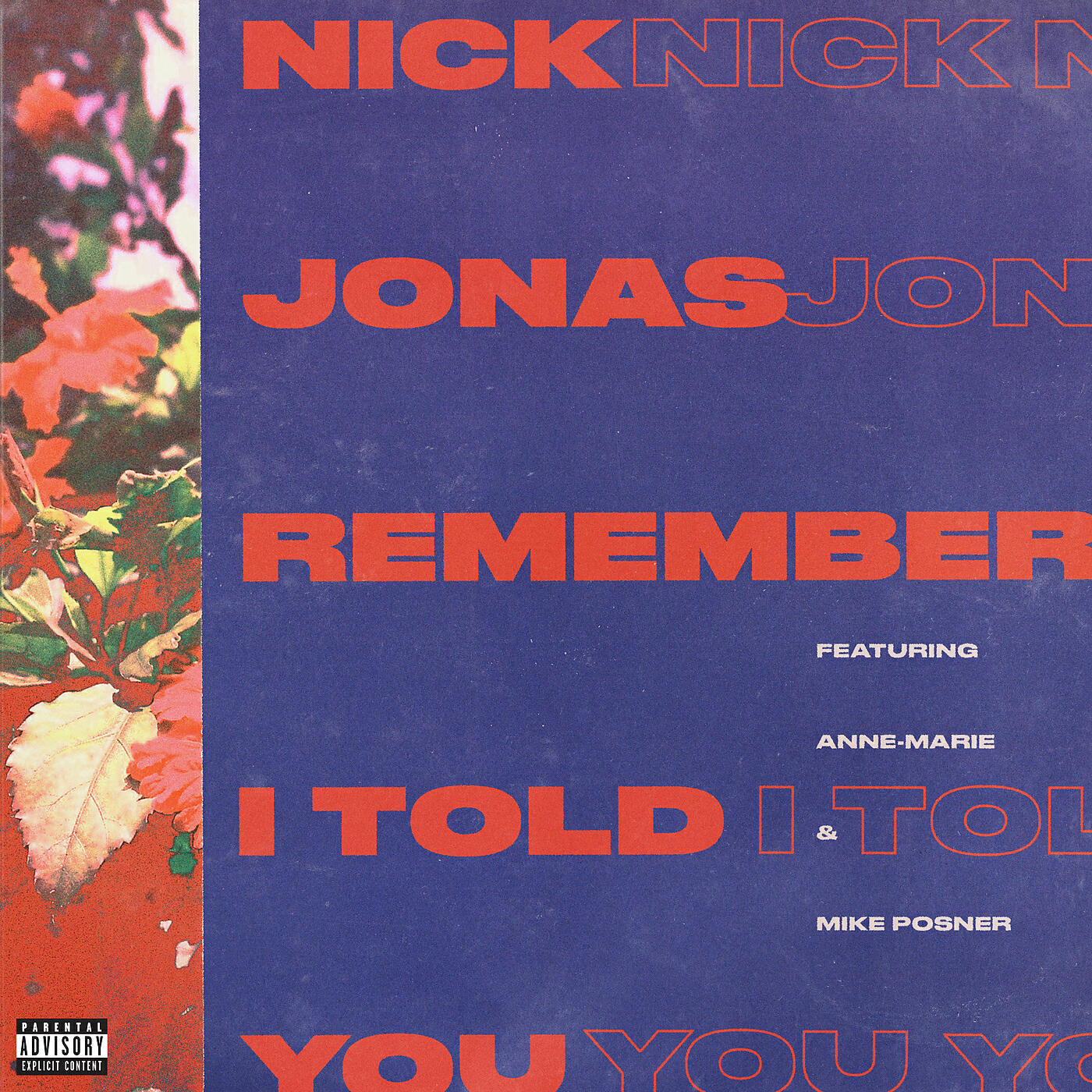 Релиз Remember I Told You