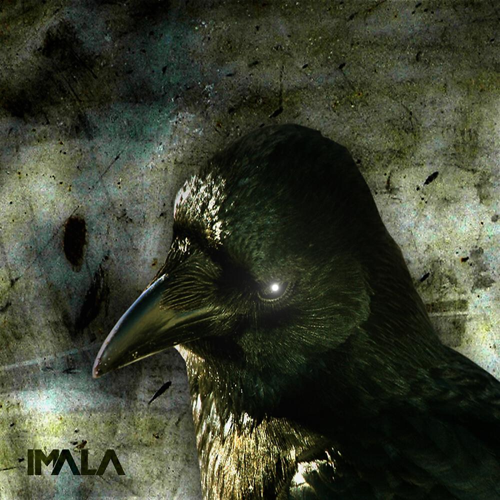 Релиз Half of The World