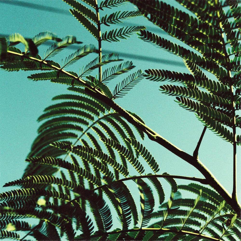 Релиз evergreen