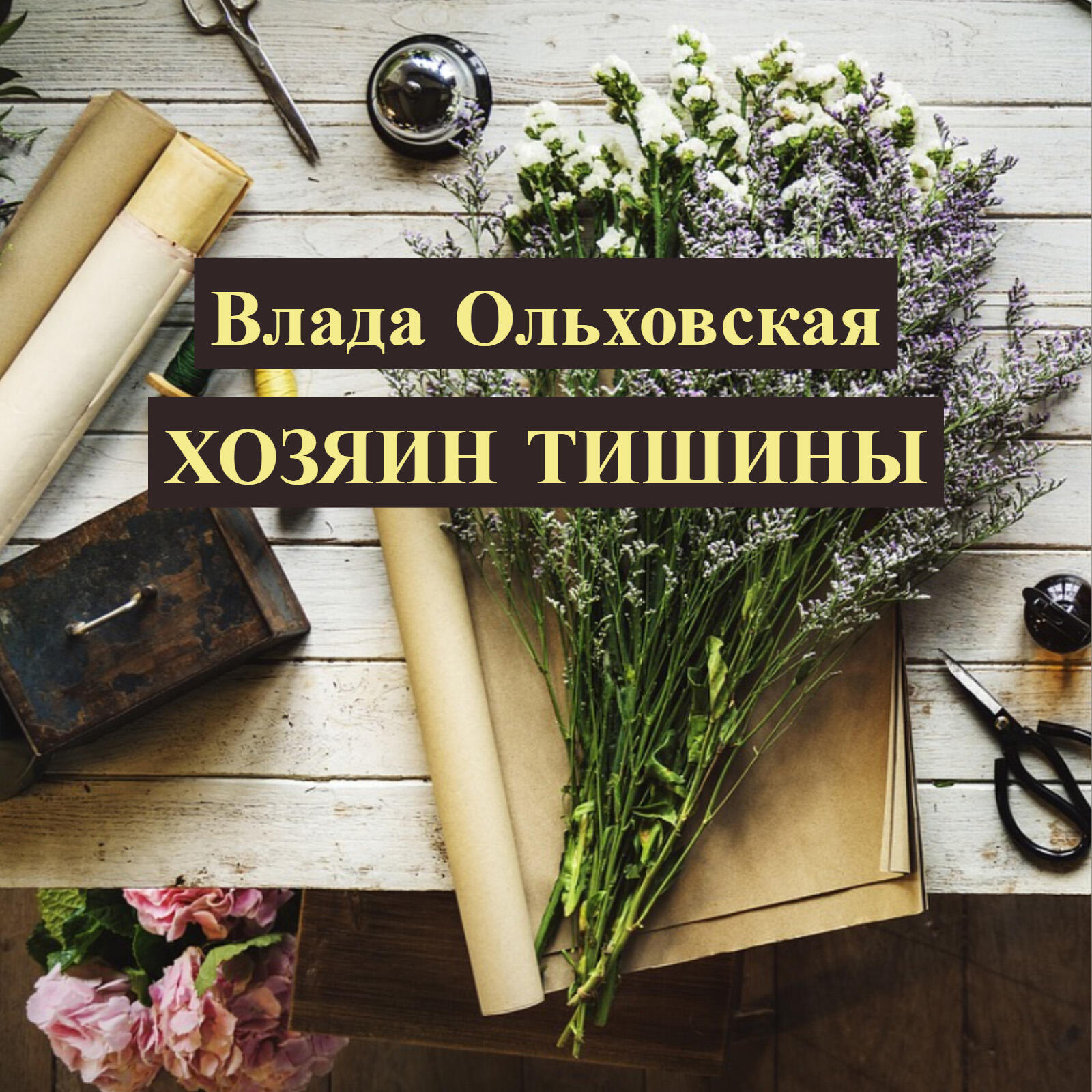 Книга Хозяин тишины