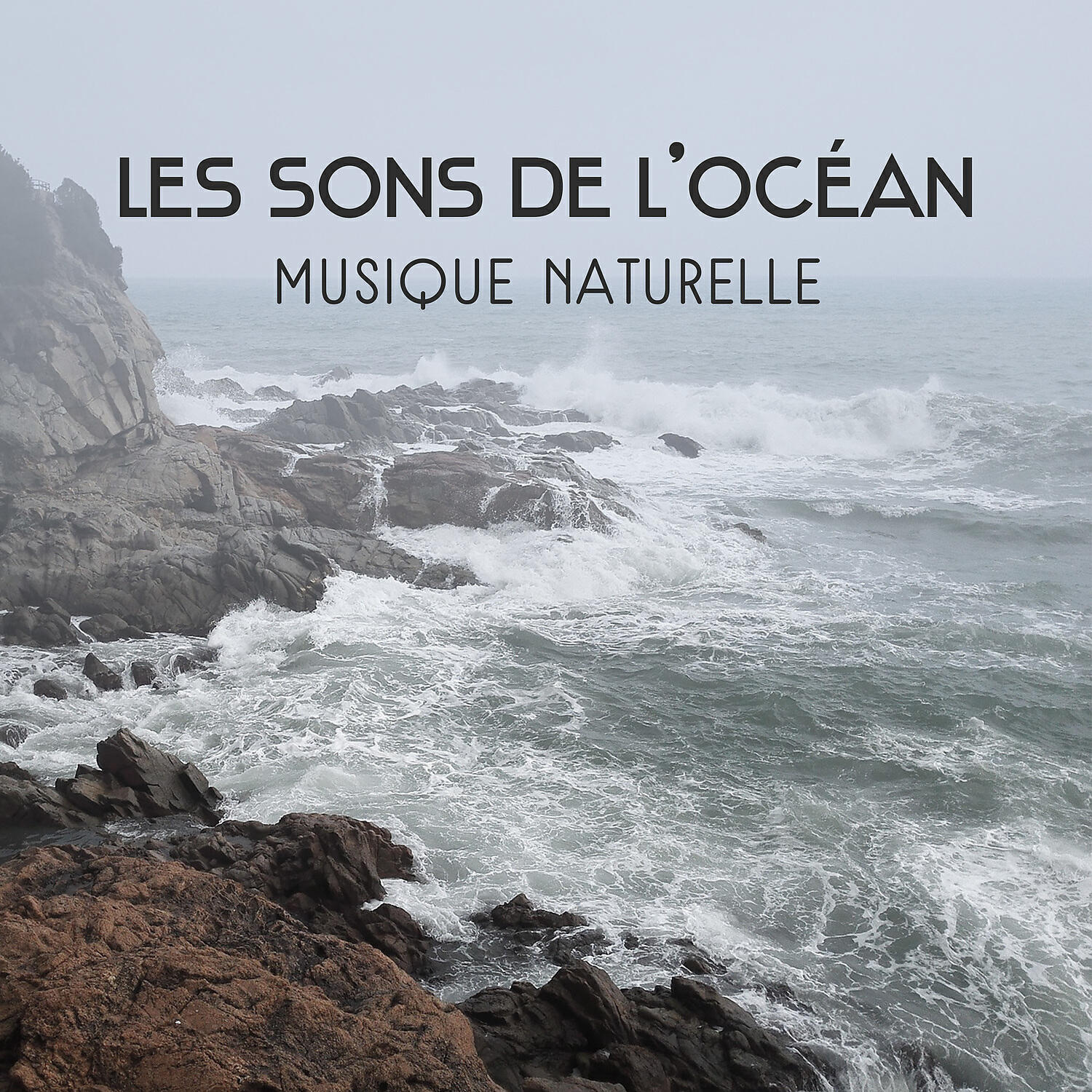Релиз Les sons de l'océan - Musique naturelle pour se détendre, Raisons pour se méditation, Trouvez votre chemin