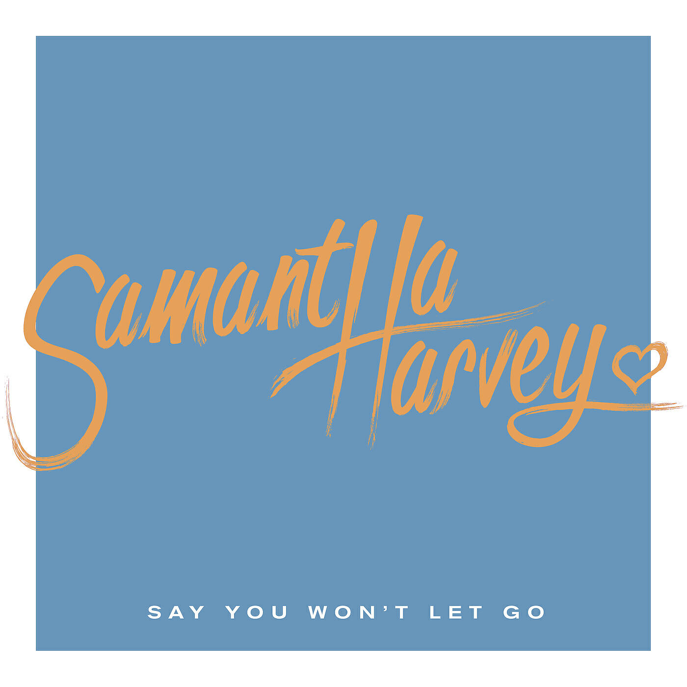 Релиз Say You Won't Let Go