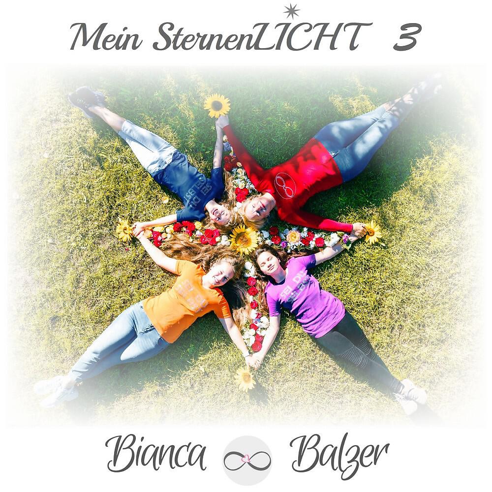 Релиз Mein Sternenlicht 3