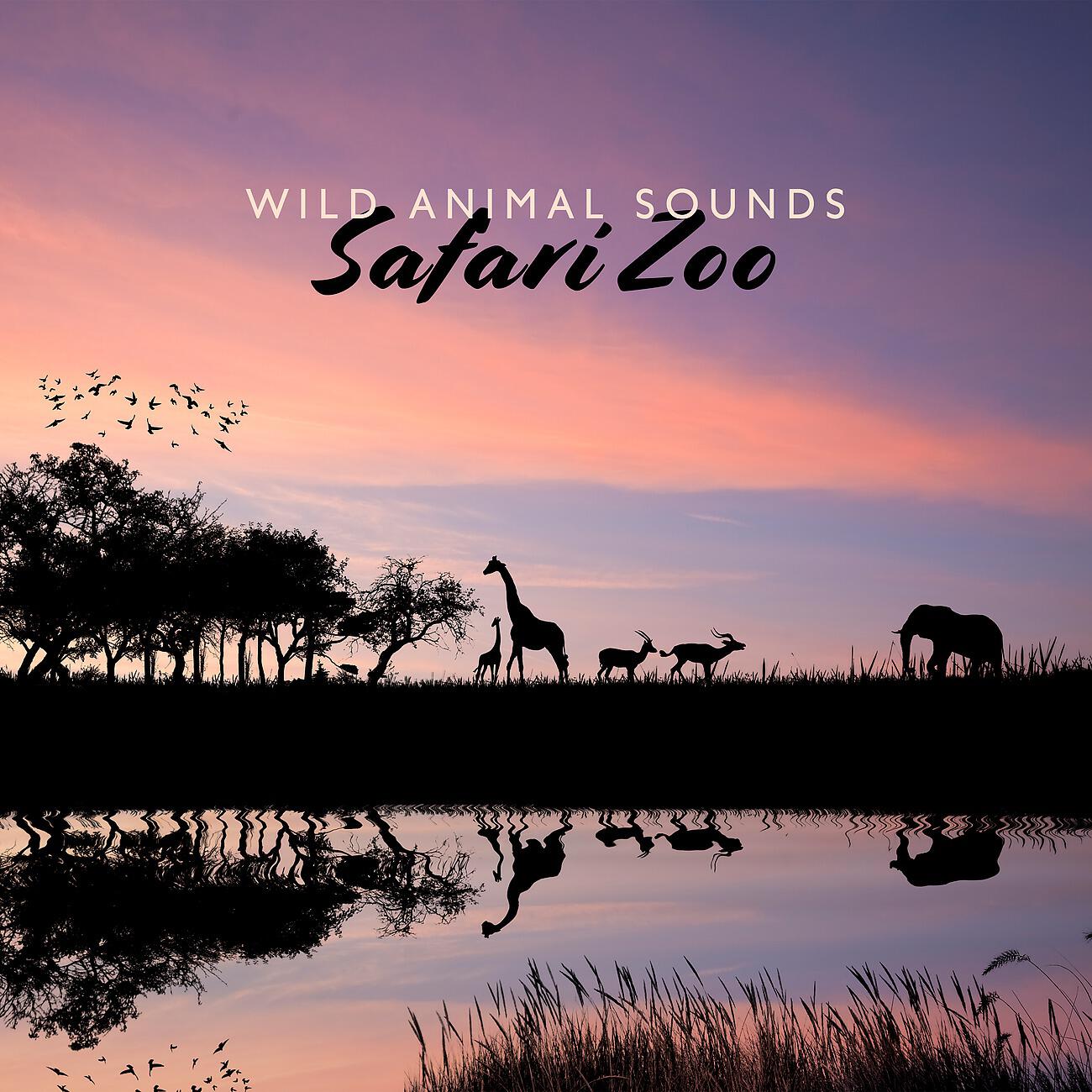Релиз Wild Animal Sounds