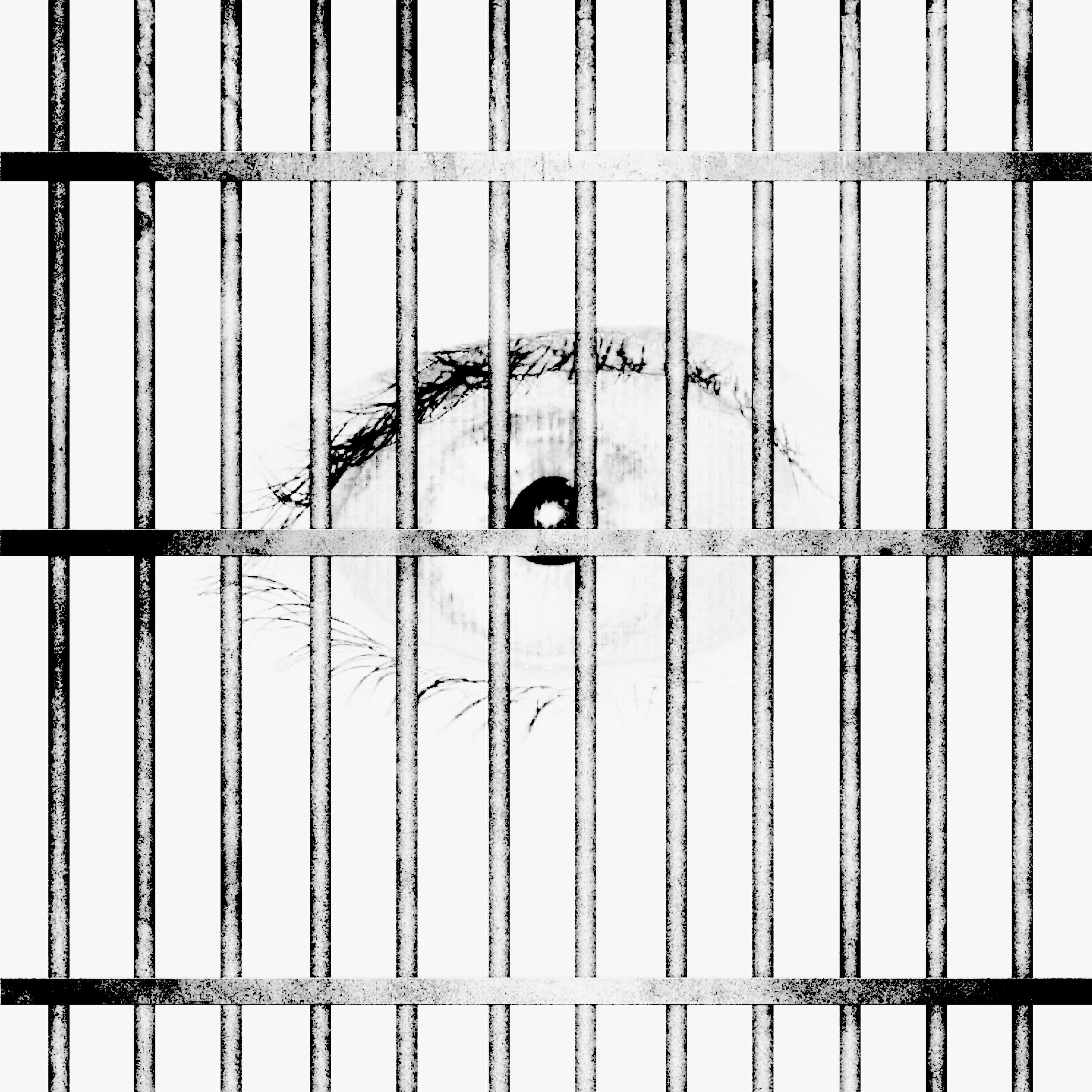 Постер альбома Panopticon