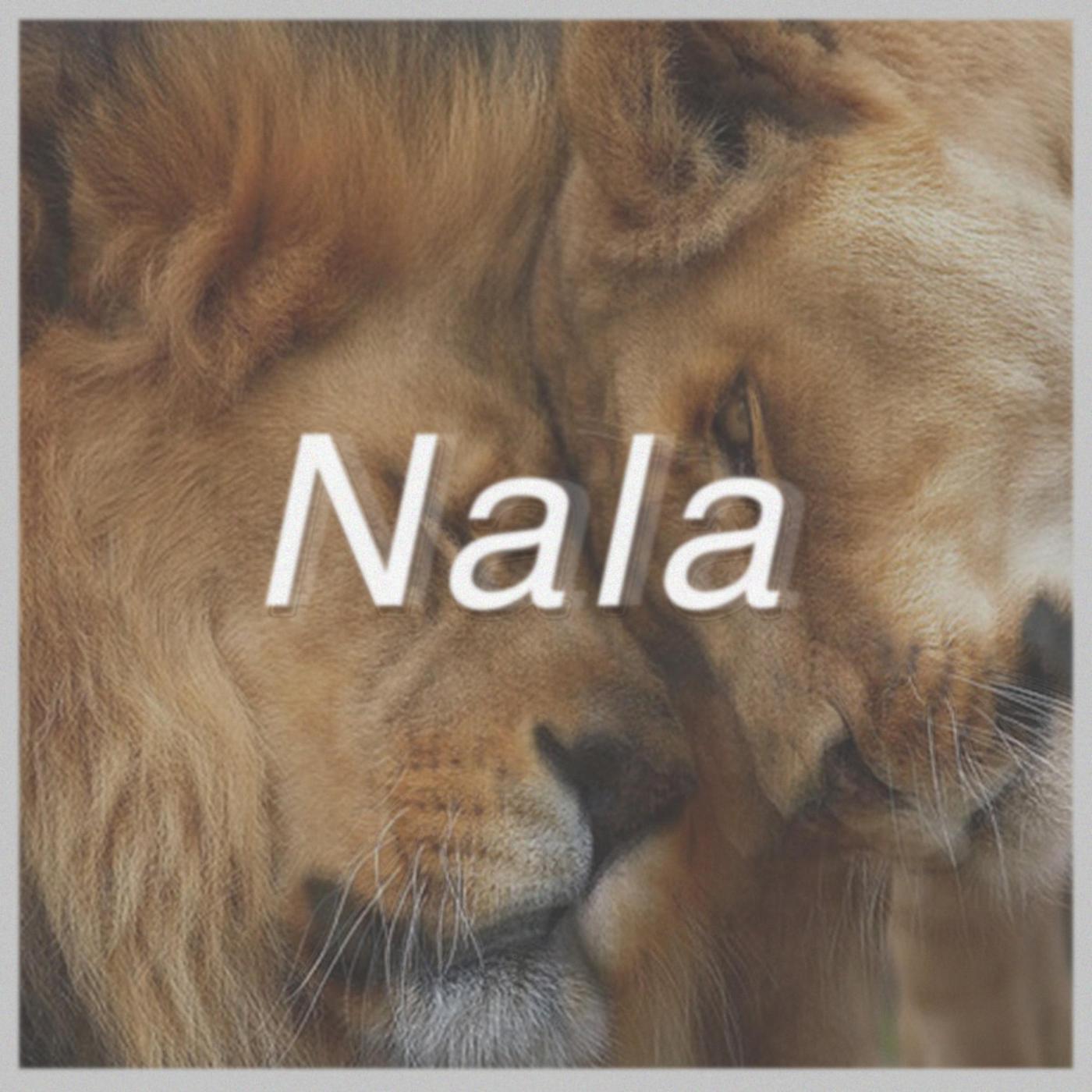 Релиз Nala