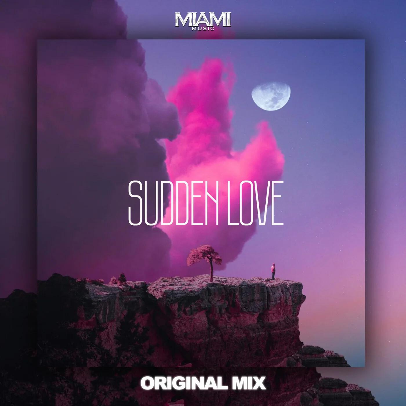 Постер альбома Sudden Love