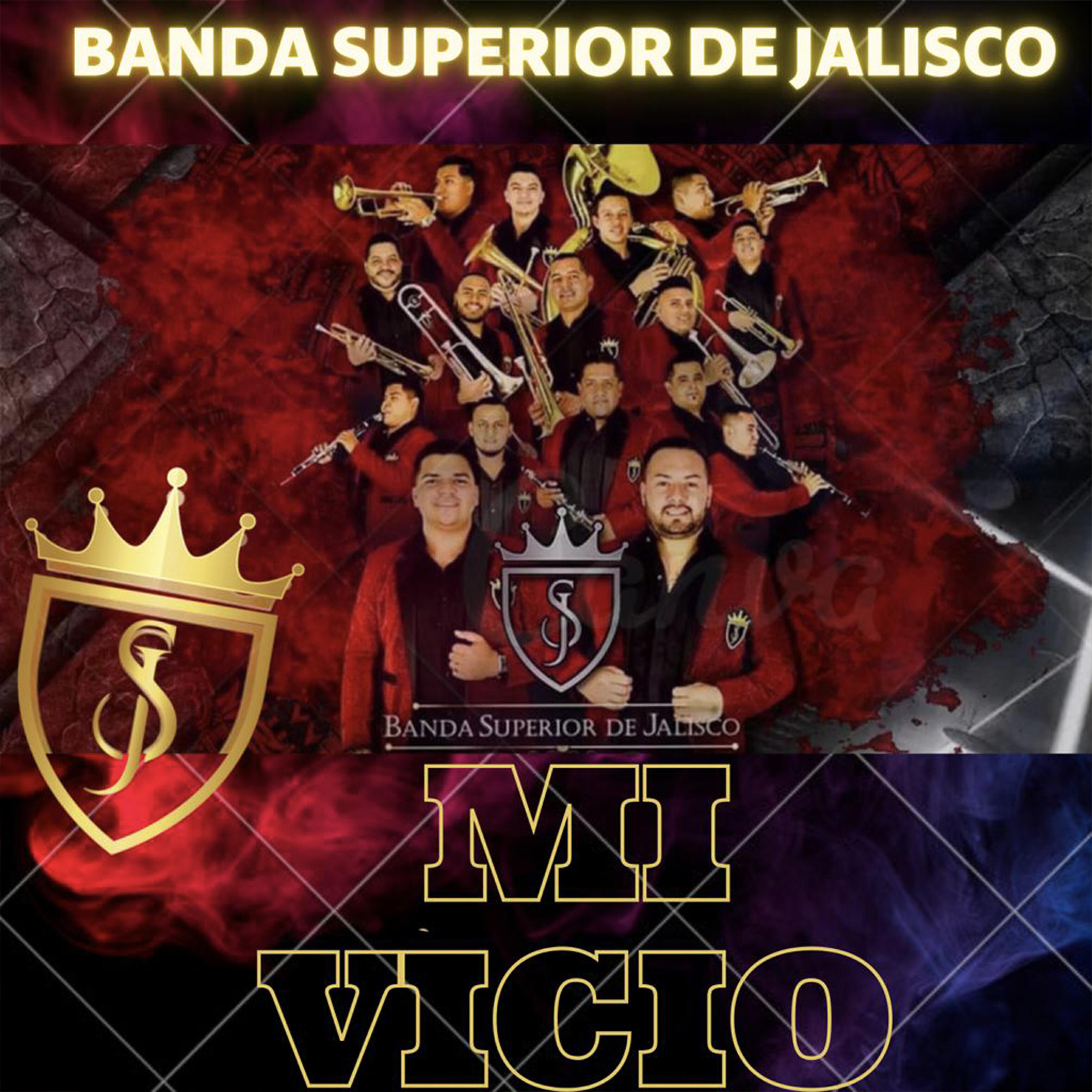 Релиз Mi Vicio