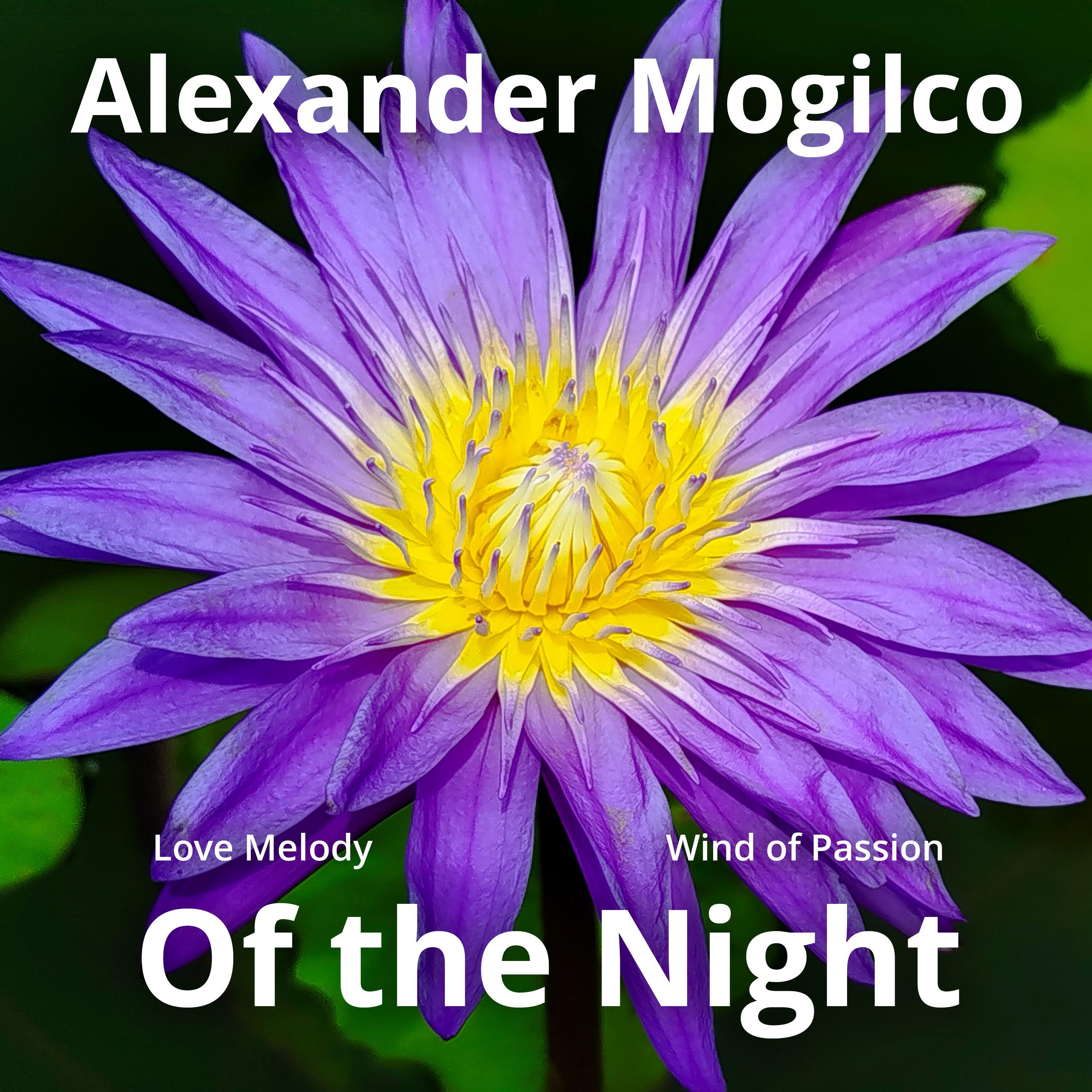 Релиз Love Melody of the Night - Wind of Passion