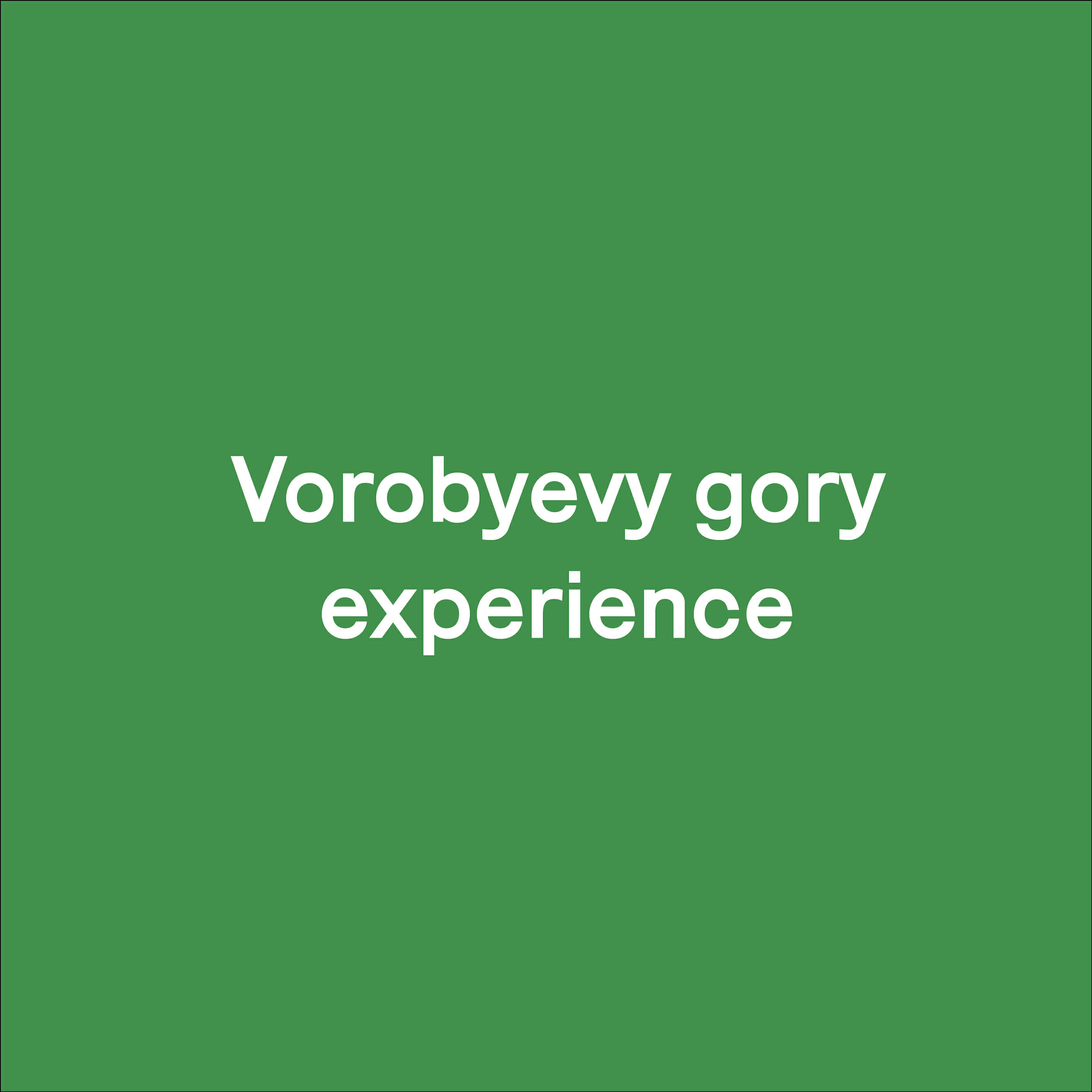 Релиз Vorobyevy Gory experience