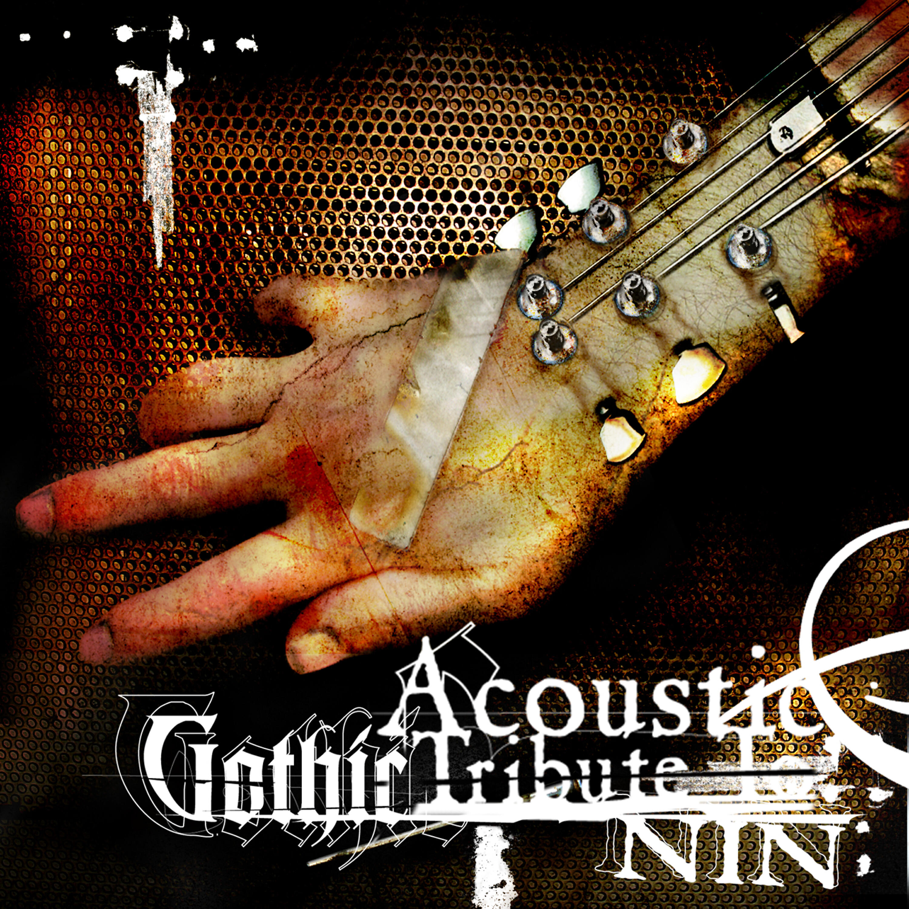 Релиз A Gothic Acoustic Tribute To NIN