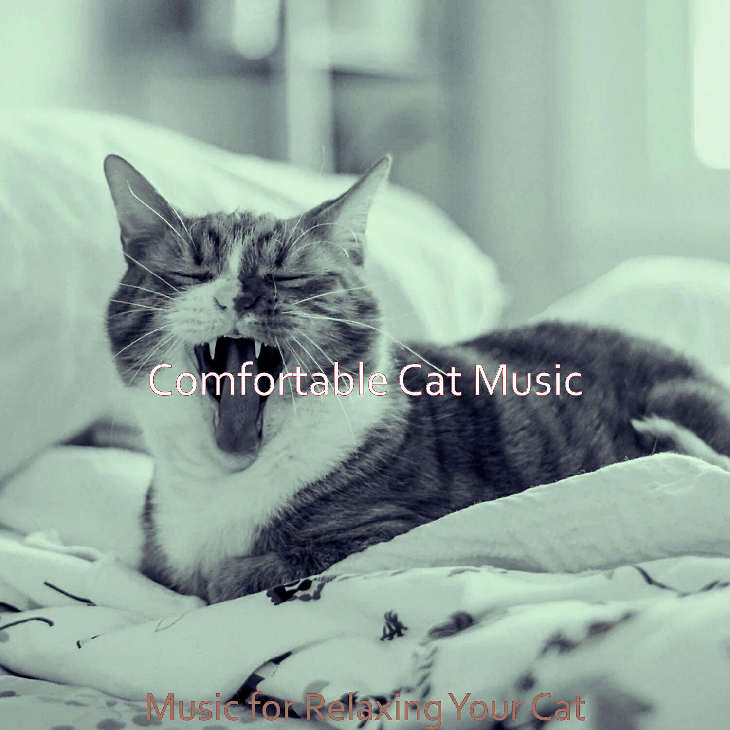 Релиз Music for Relaxing Your Cat