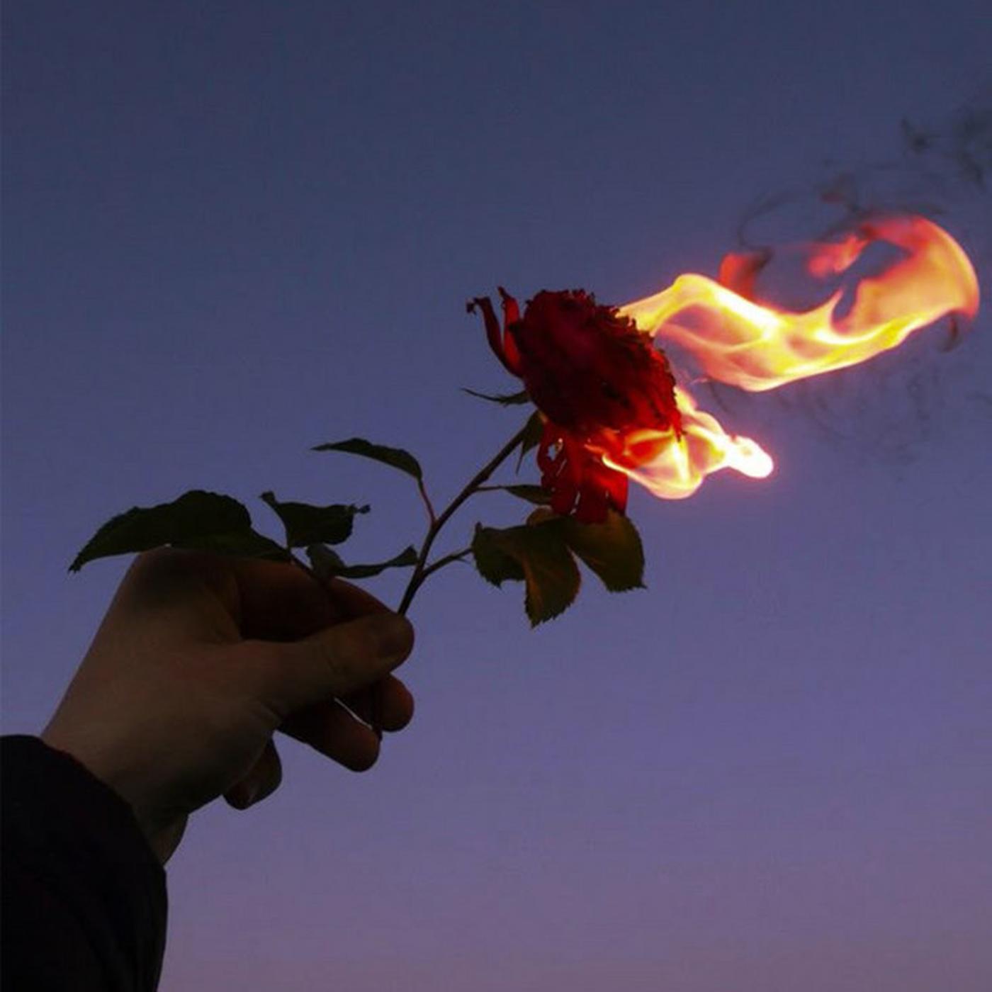 Релиз departure lane x wishes x afsos