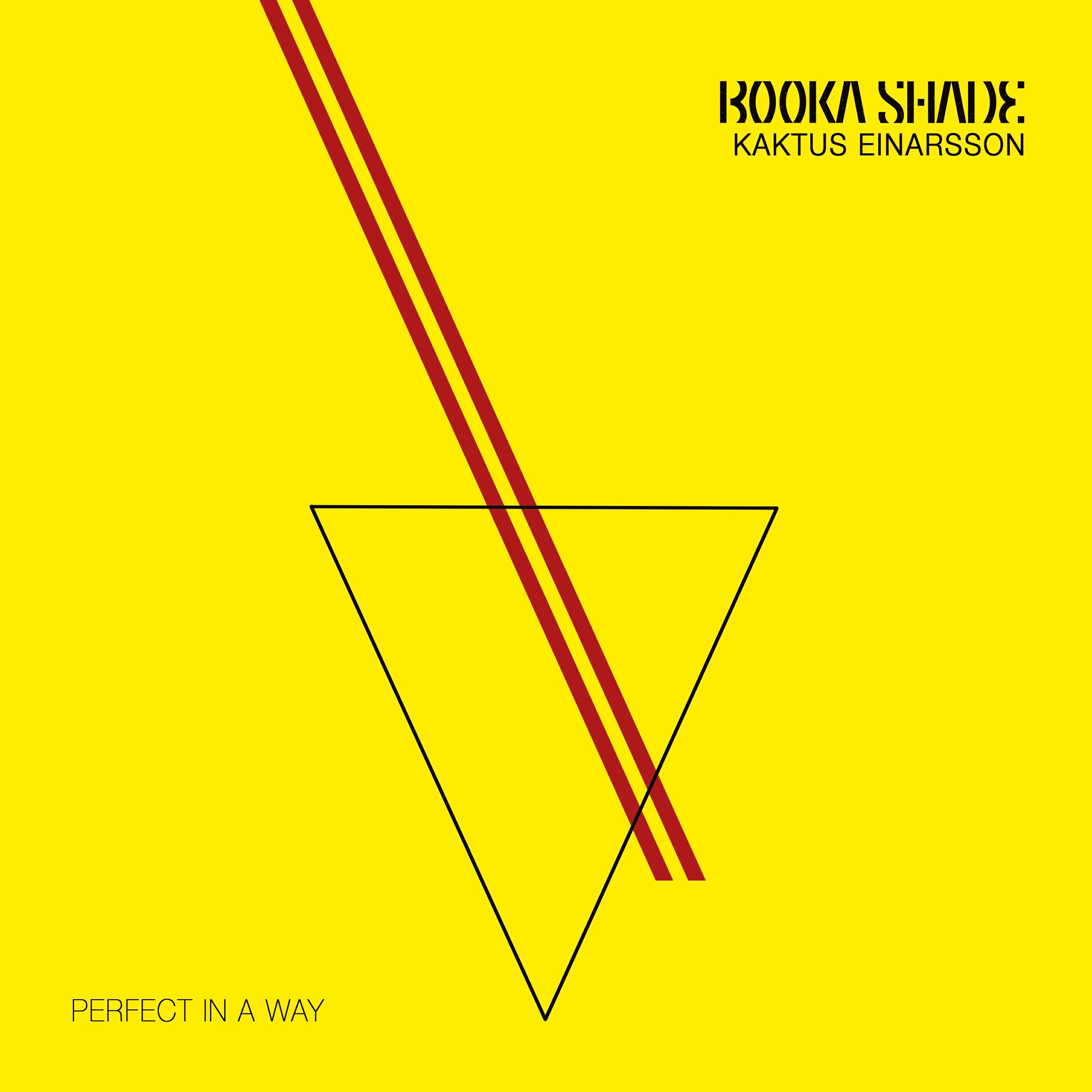 Релиз Perfect in a Way
