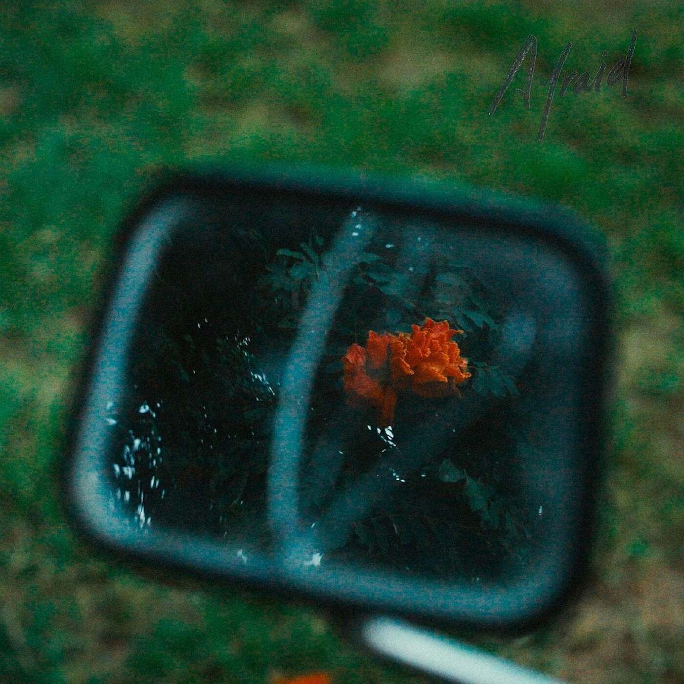 Релиз Afraid