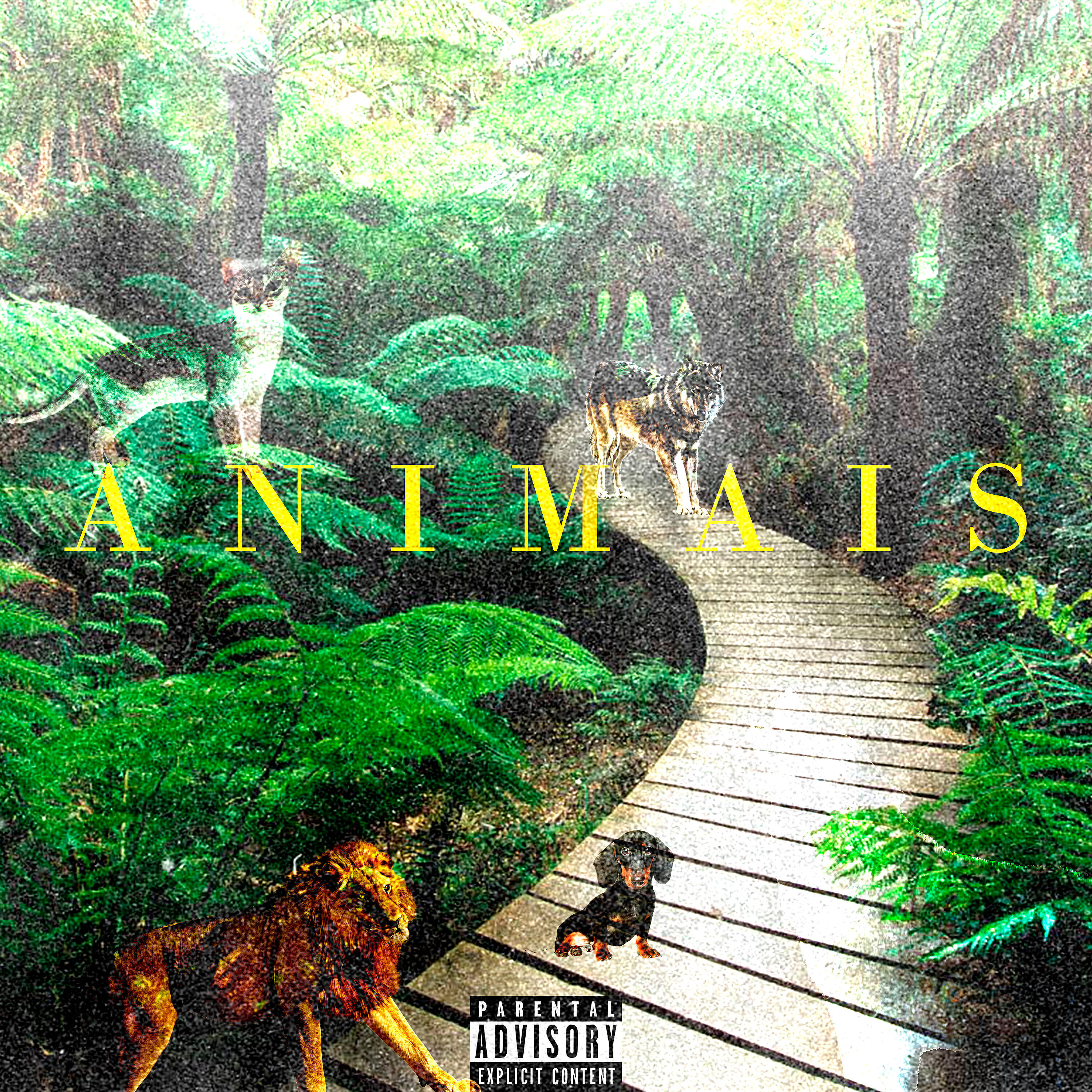 Релиз Animais