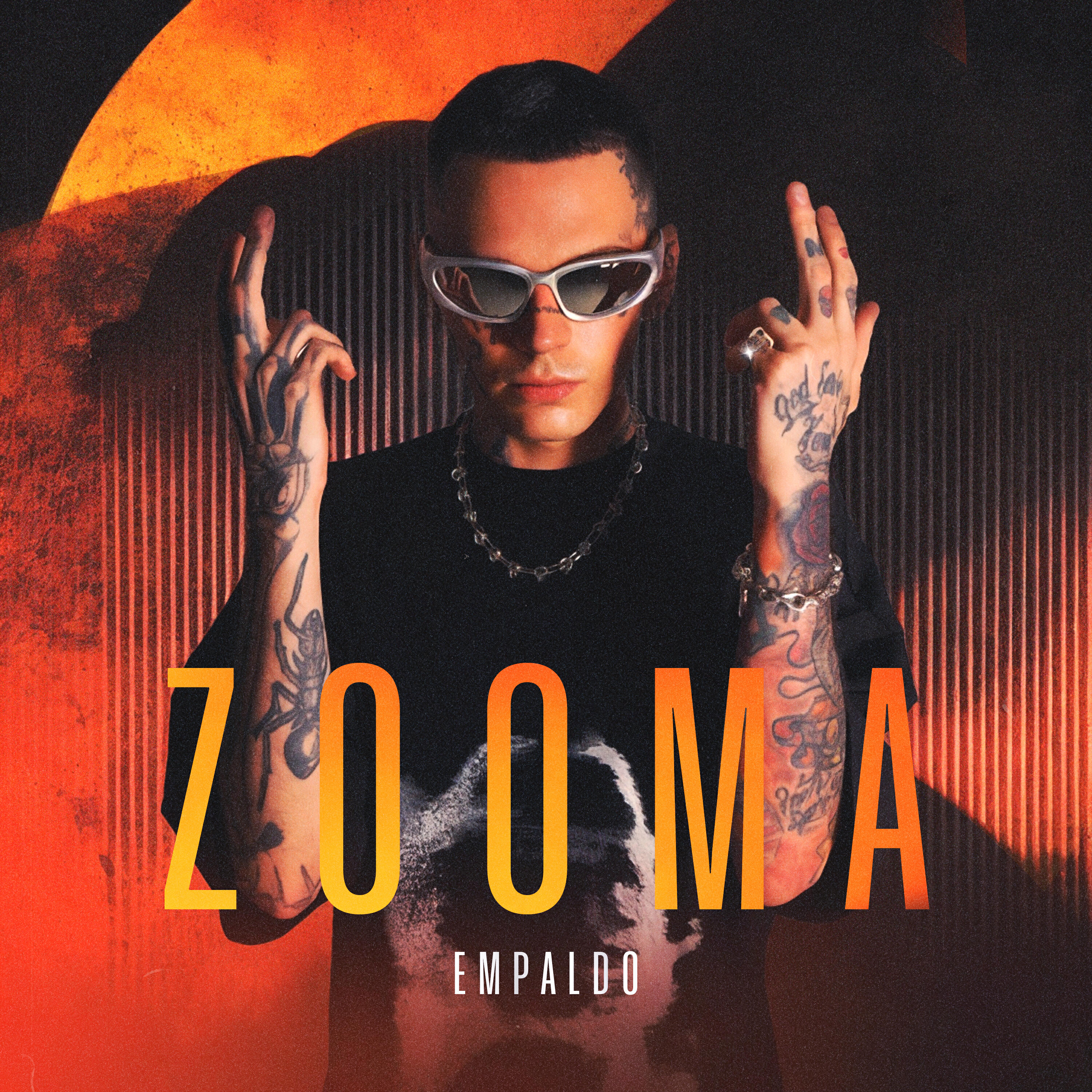 Релиз Zooma