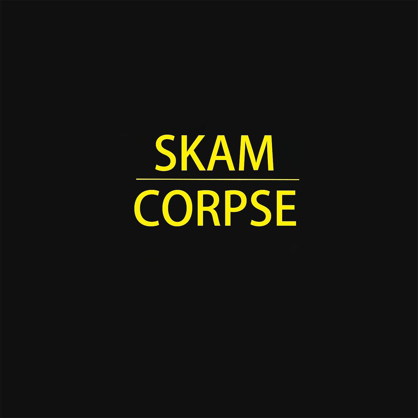 Релиз Skam