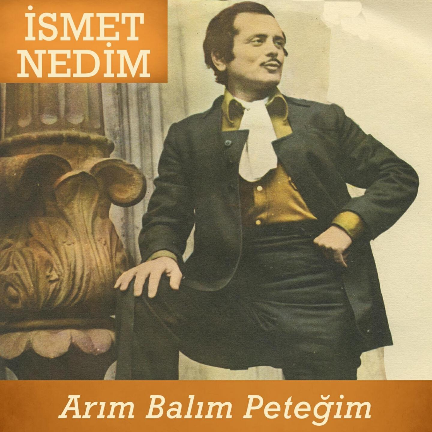 Постер альбома Arım Balım Peteğim
