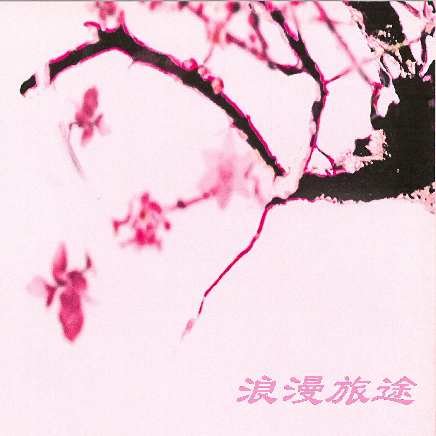Релиз 浪漫旅途