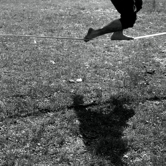 Релиз Alba verde