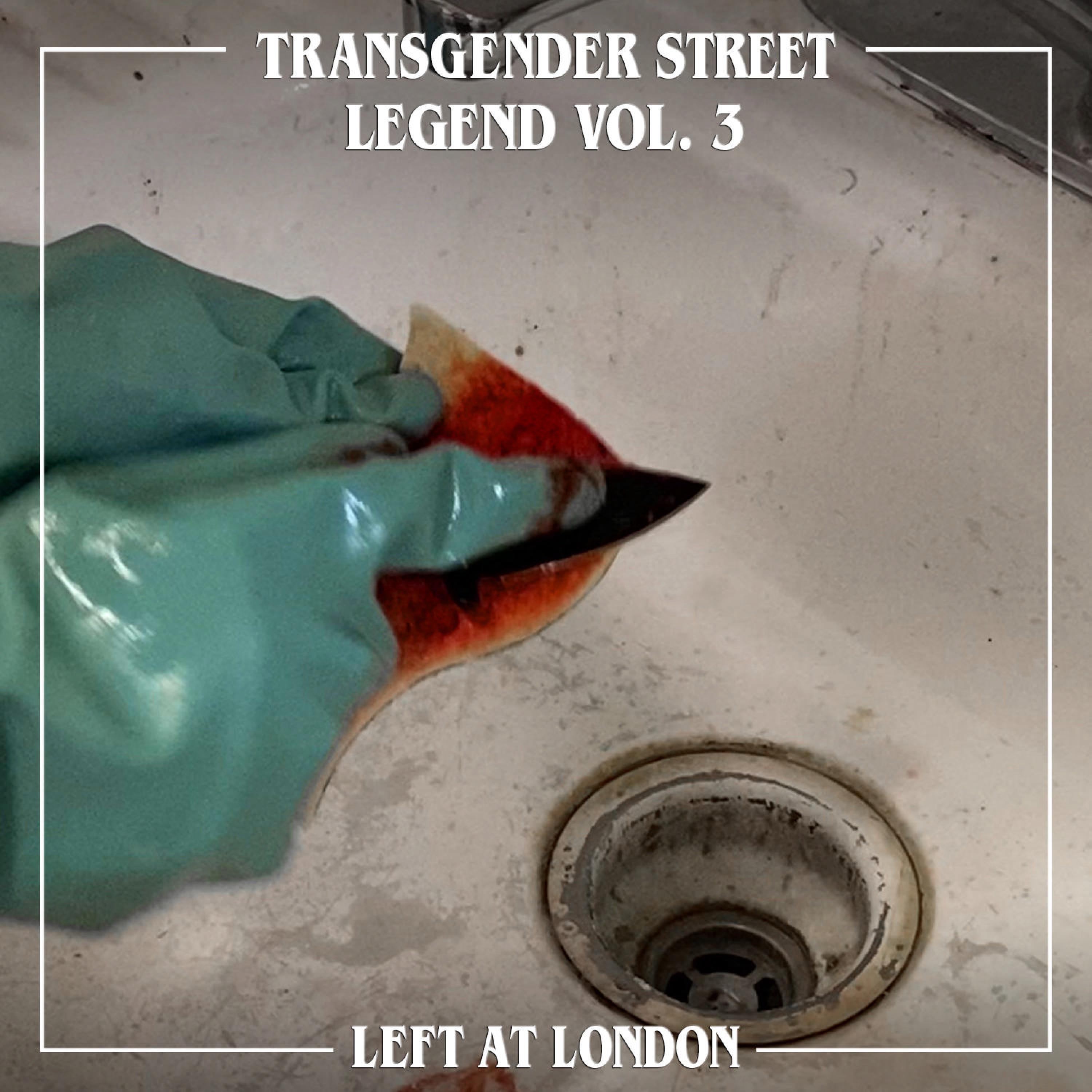 Релиз Transgender Street Legend, Vol. 3