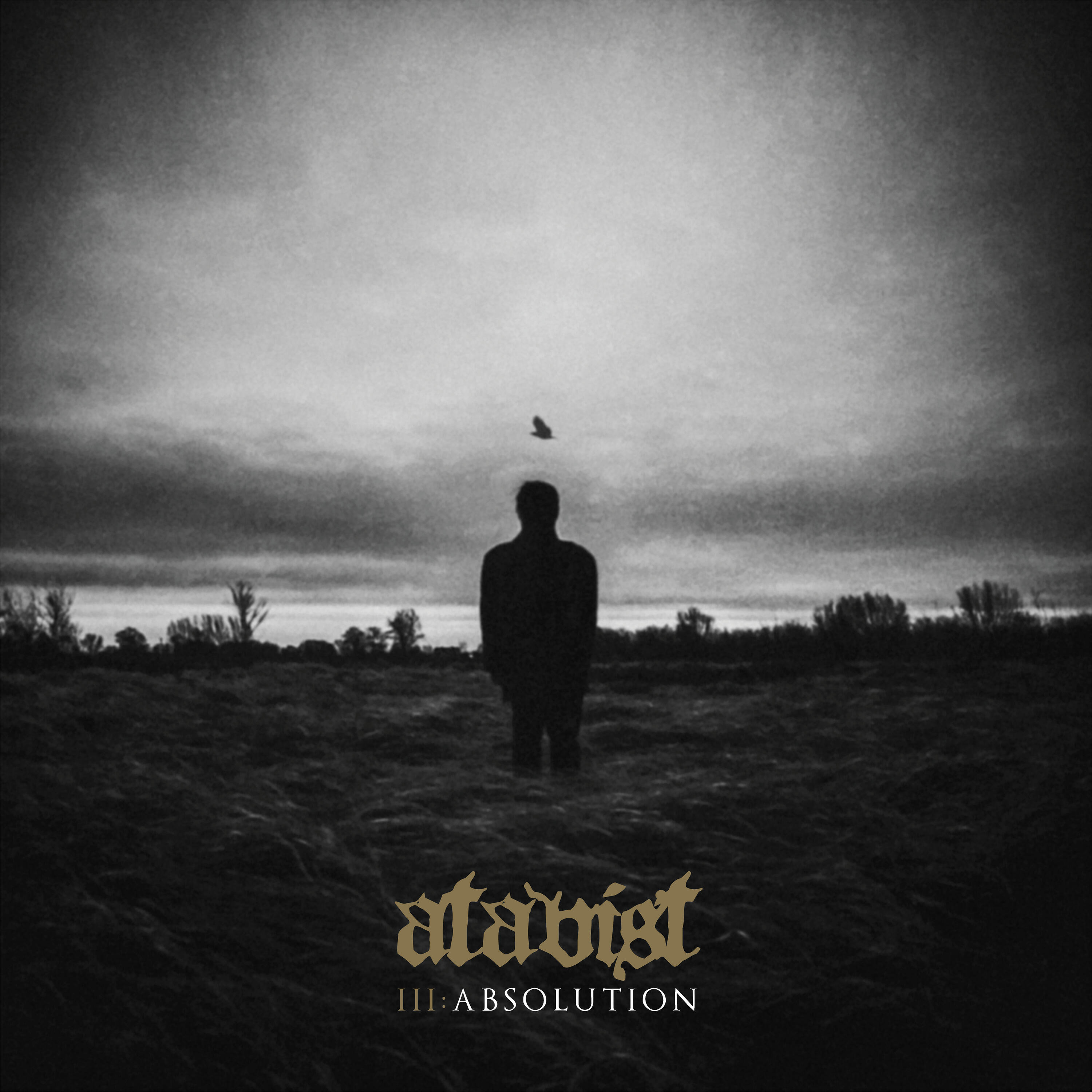 Релиз III: Absolution