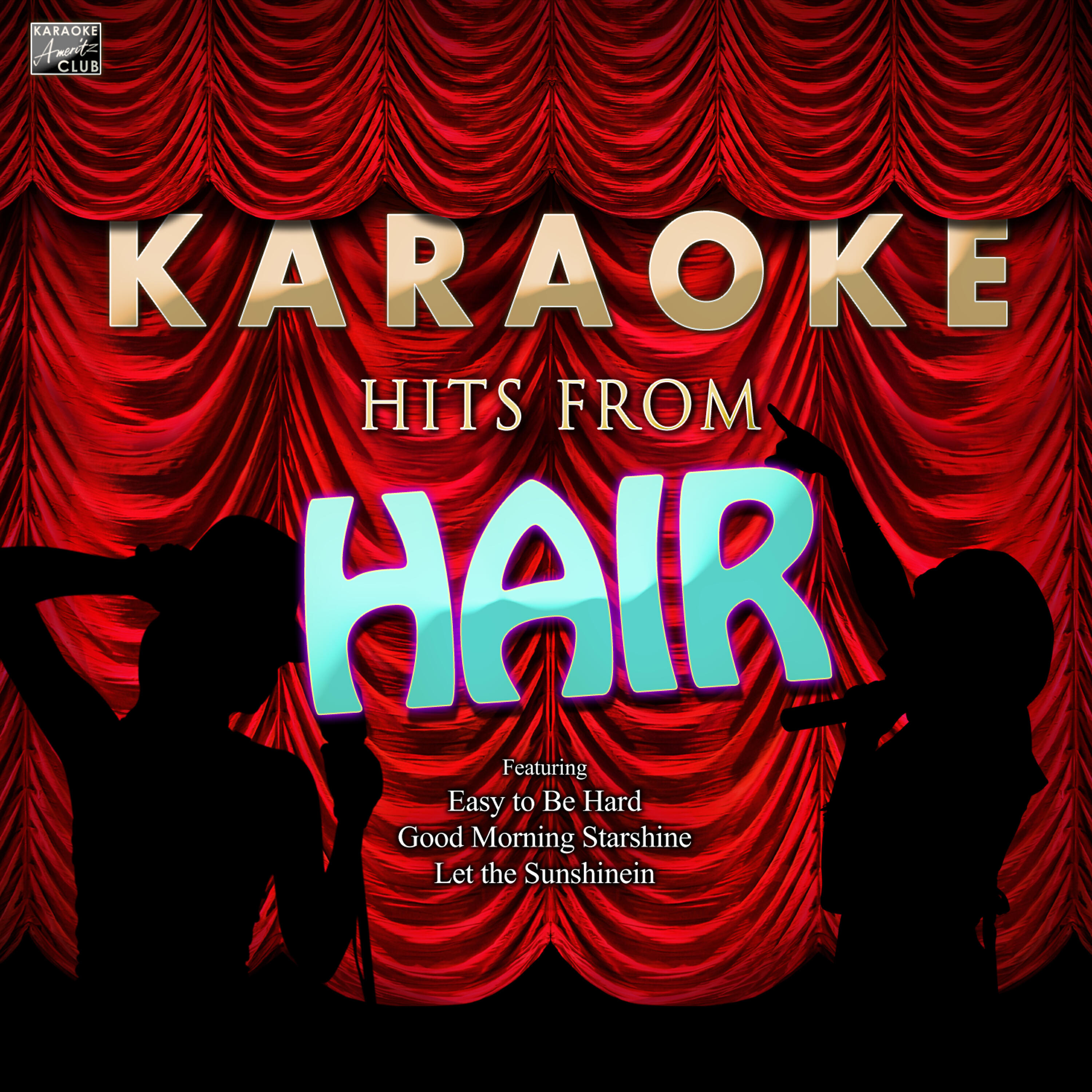 Постер альбома Karaoke Hits from Hair