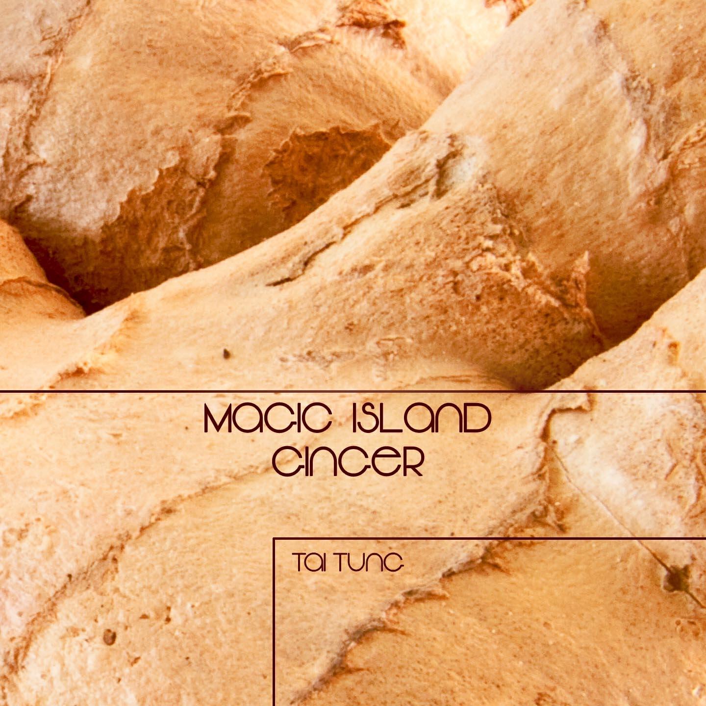 Релиз Magic Island Ginger