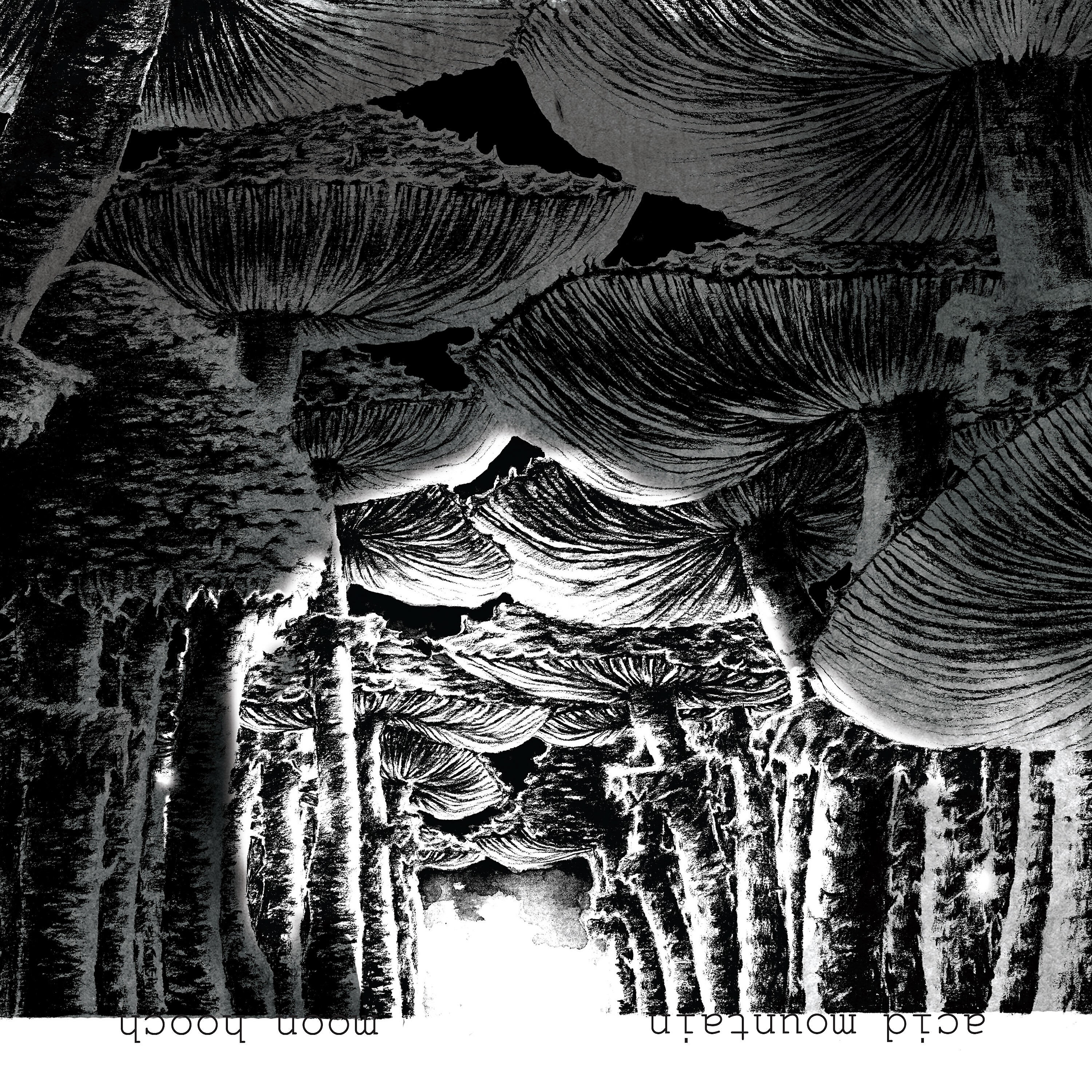 Релиз Acid Mountain