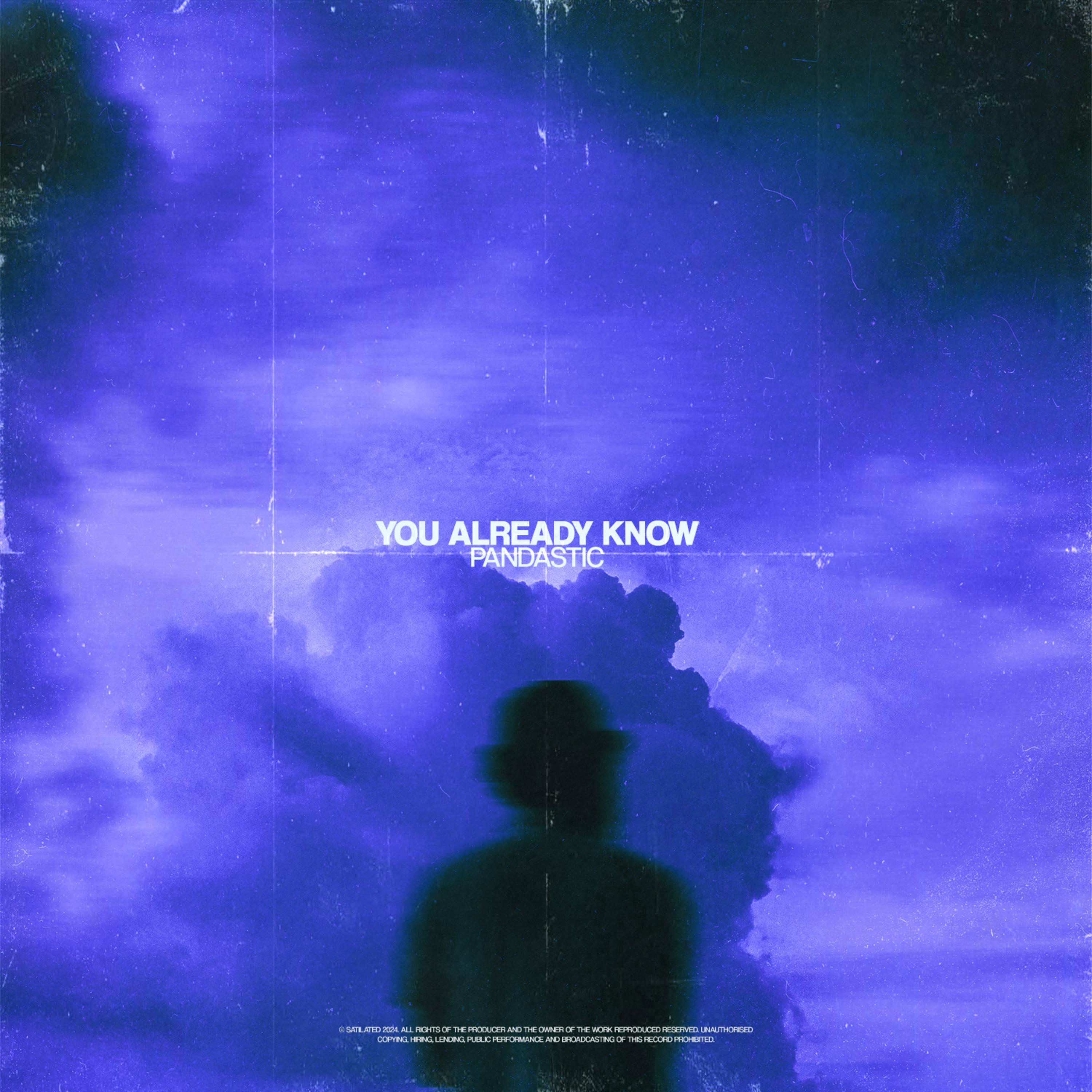 Релиз You Already Know