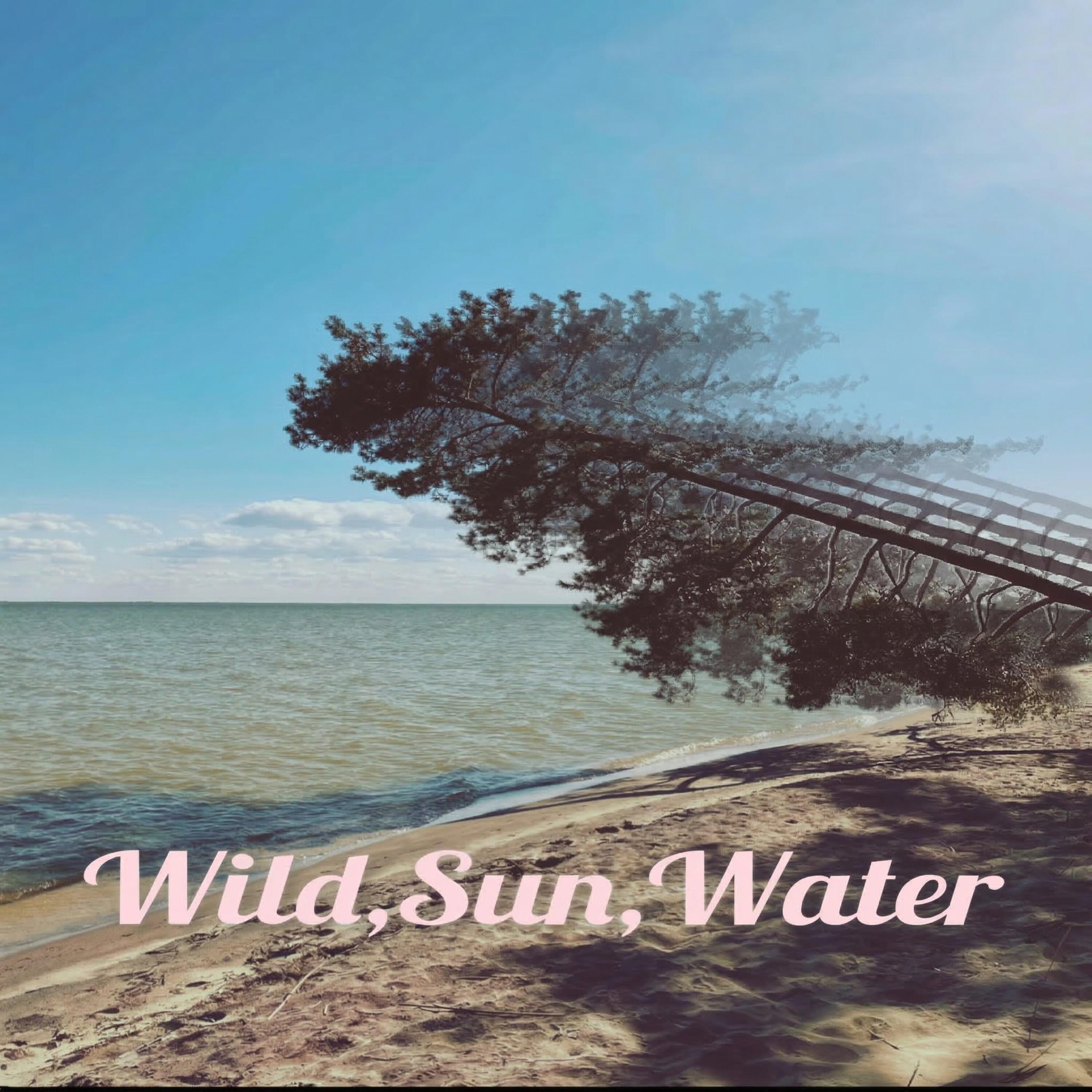 Релиз Wind,Sun,Water