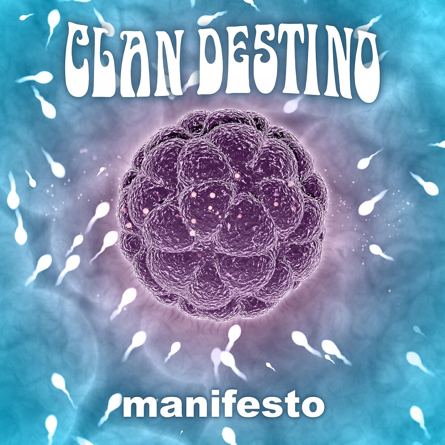 Релиз Manifesto