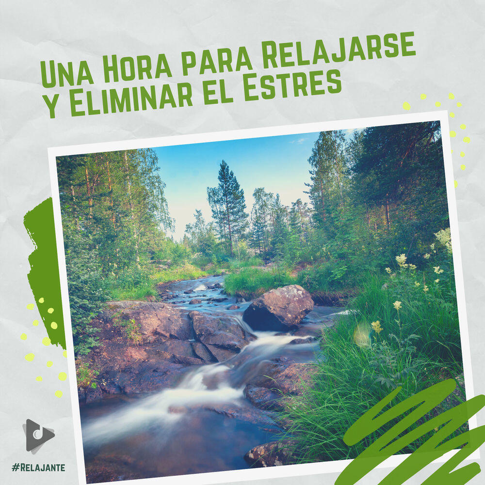 Релиз 1 Hora para Relajarse y Eliminar el Estrés