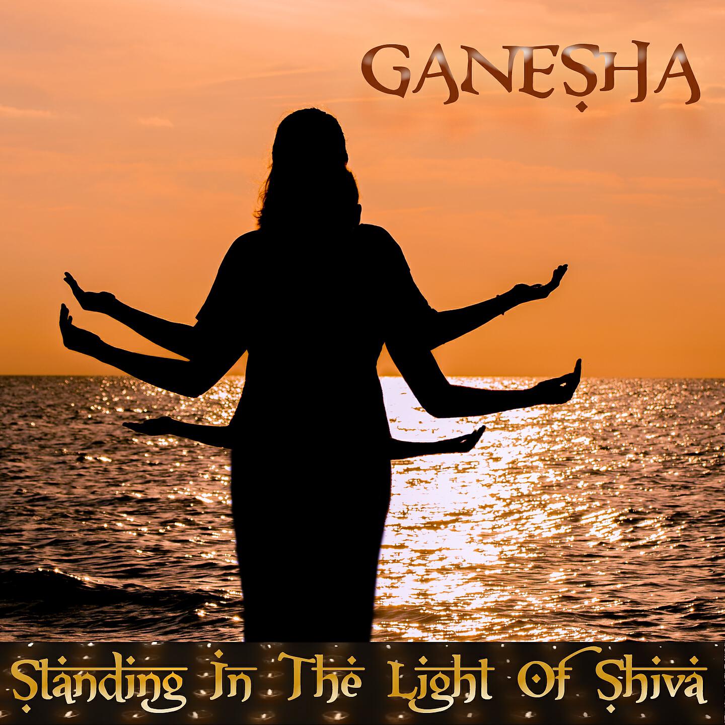 Релиз Standing In The Light Of Shiva