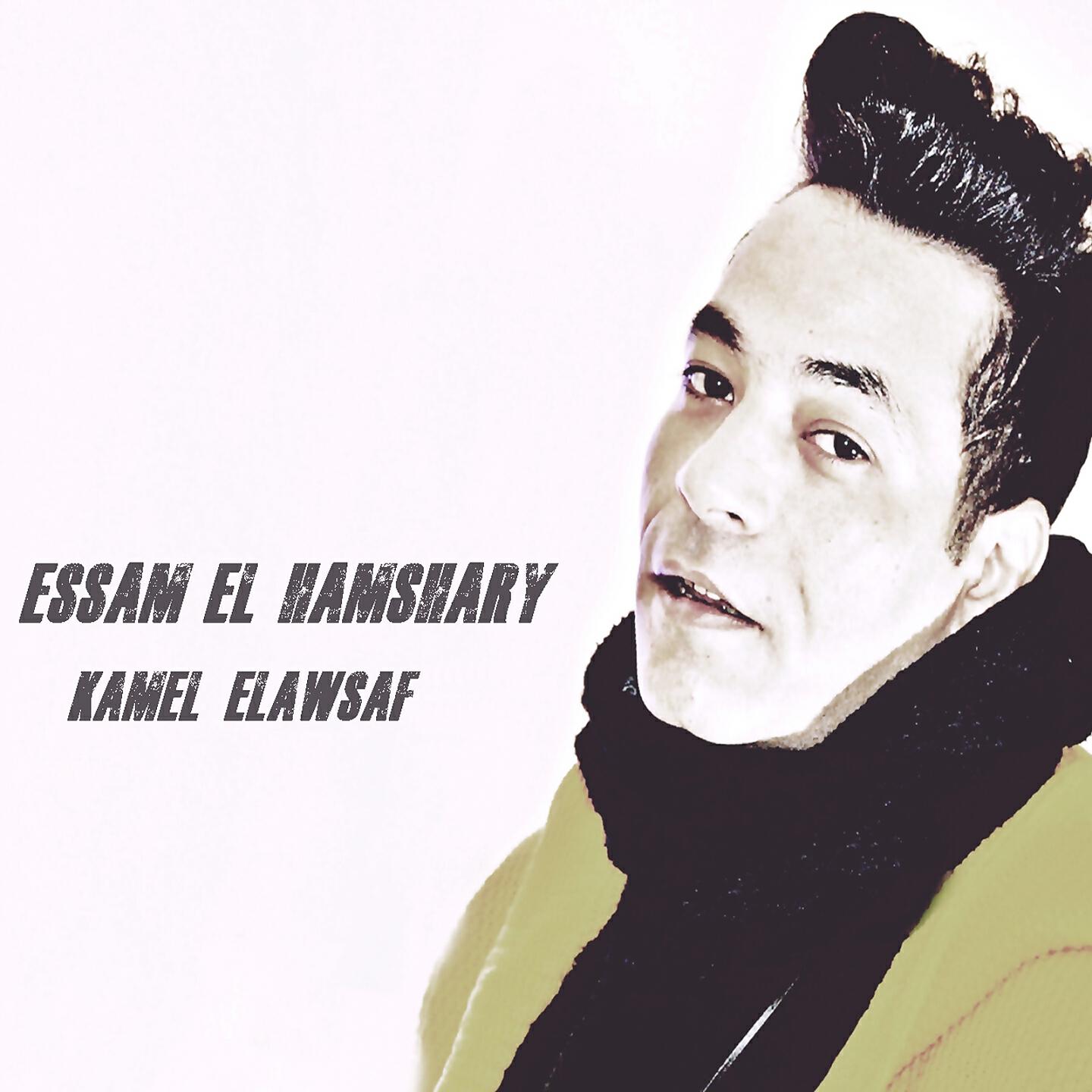 Essam El Hamshary