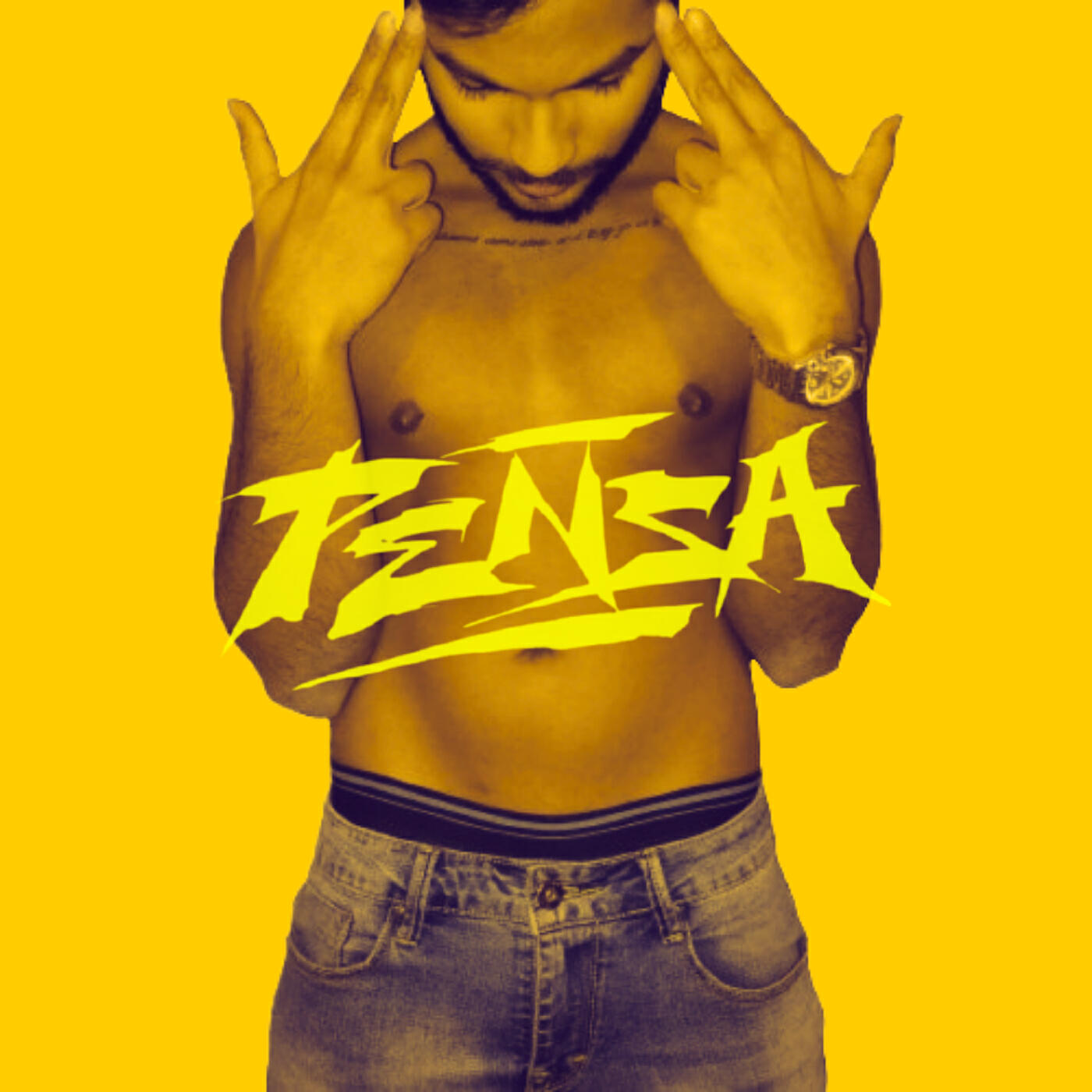 Релиз PENSA