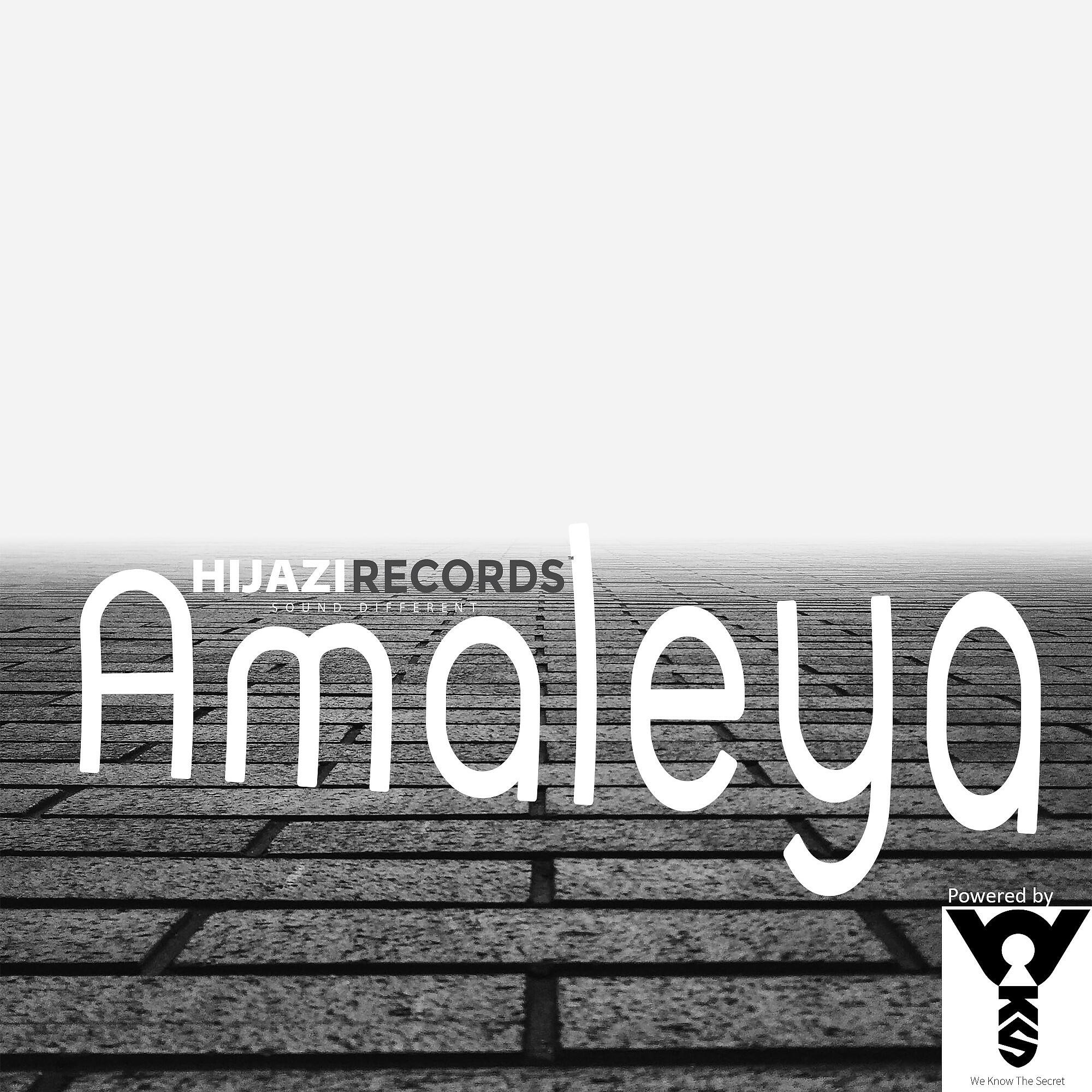 Релиз Amaleya (Remix)