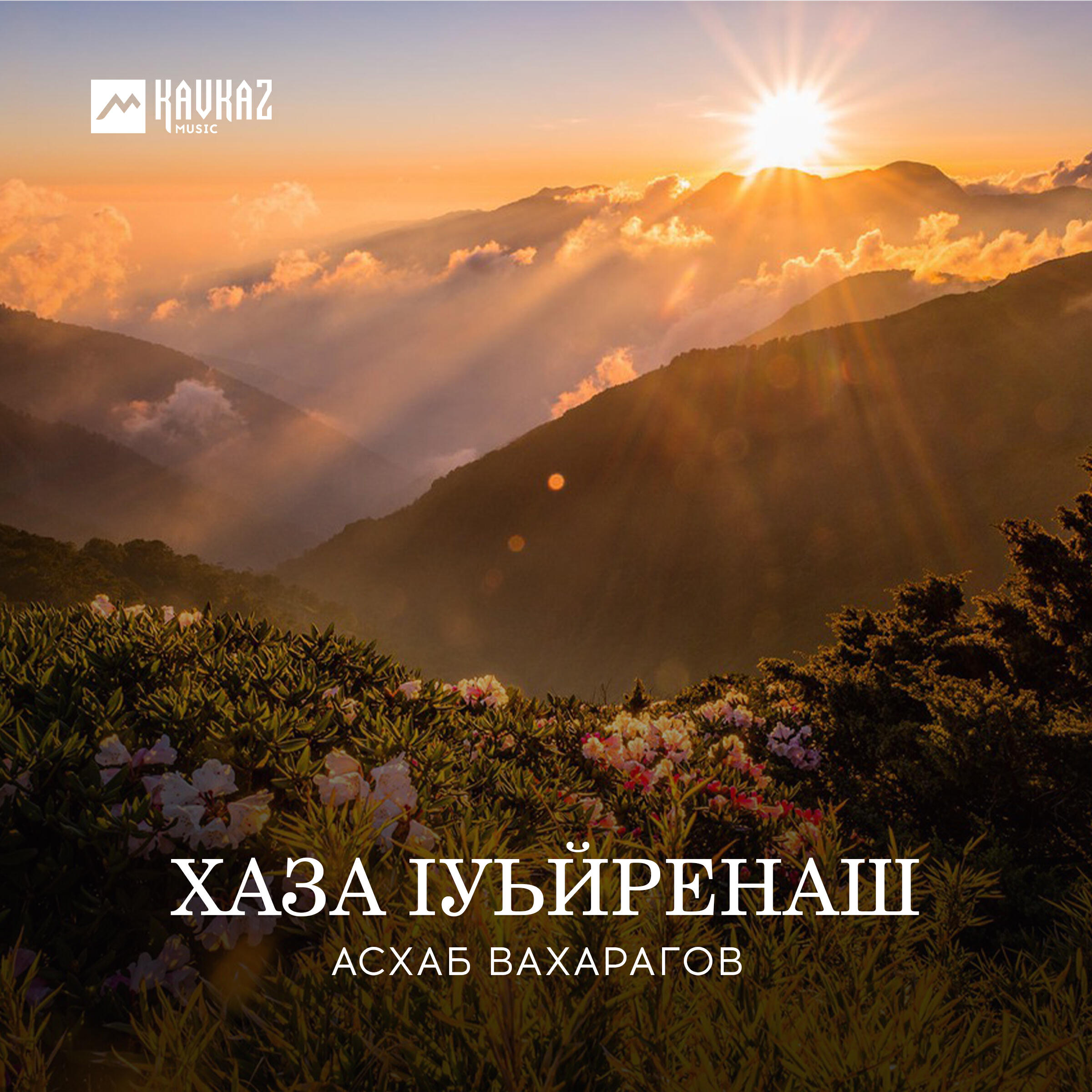 Релиз Хаза lуьйренаш