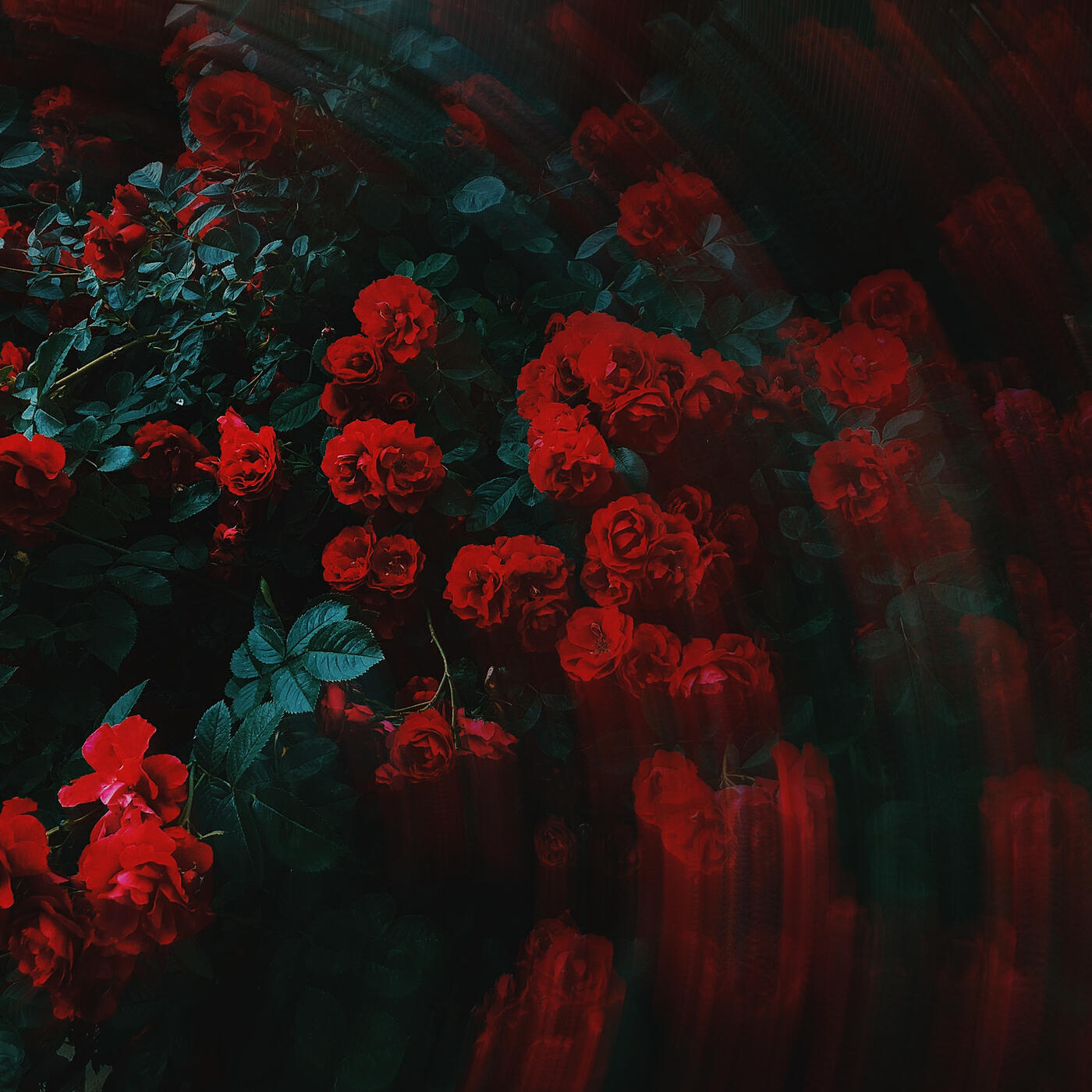 Релиз Love Me