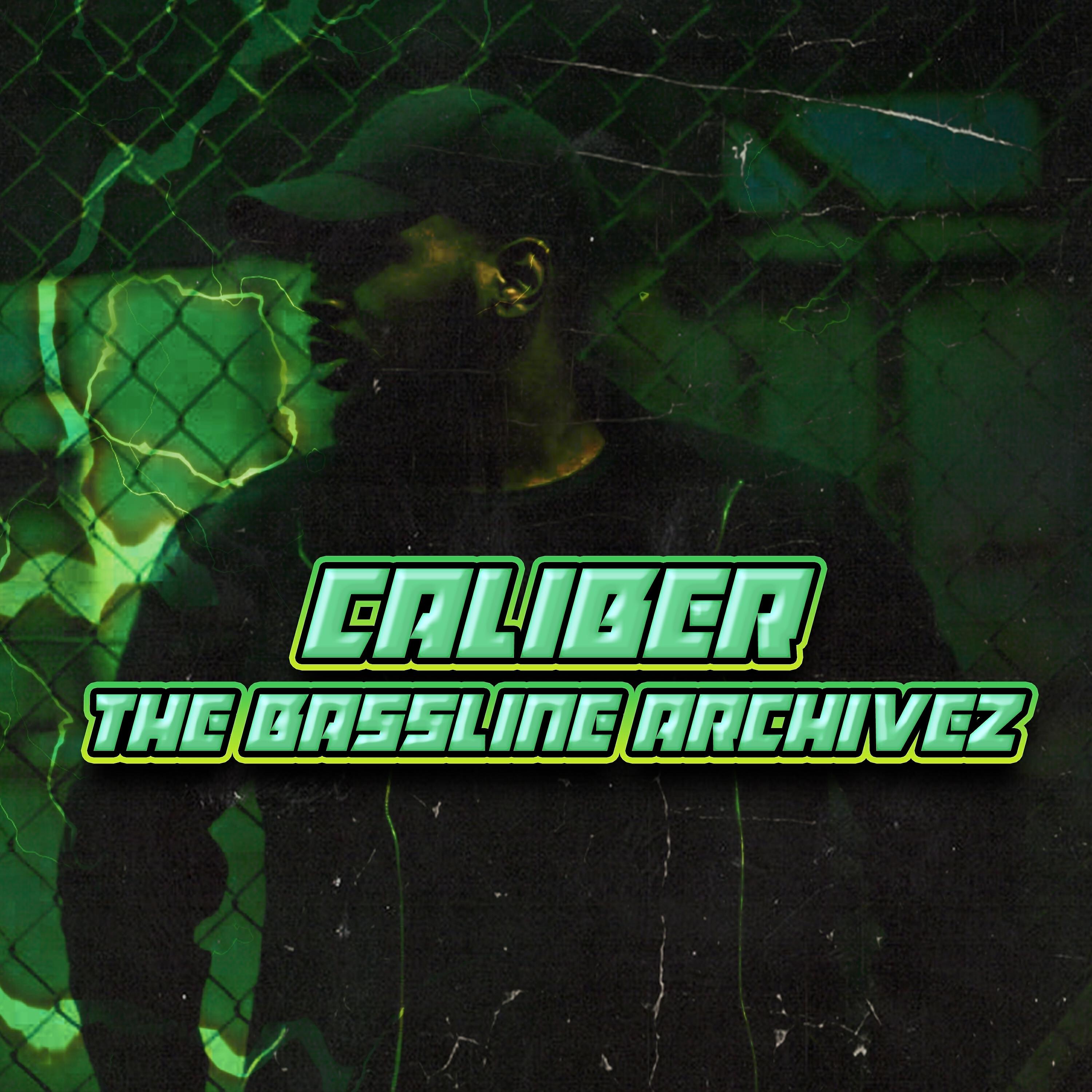 Релиз The Bassline Archivez