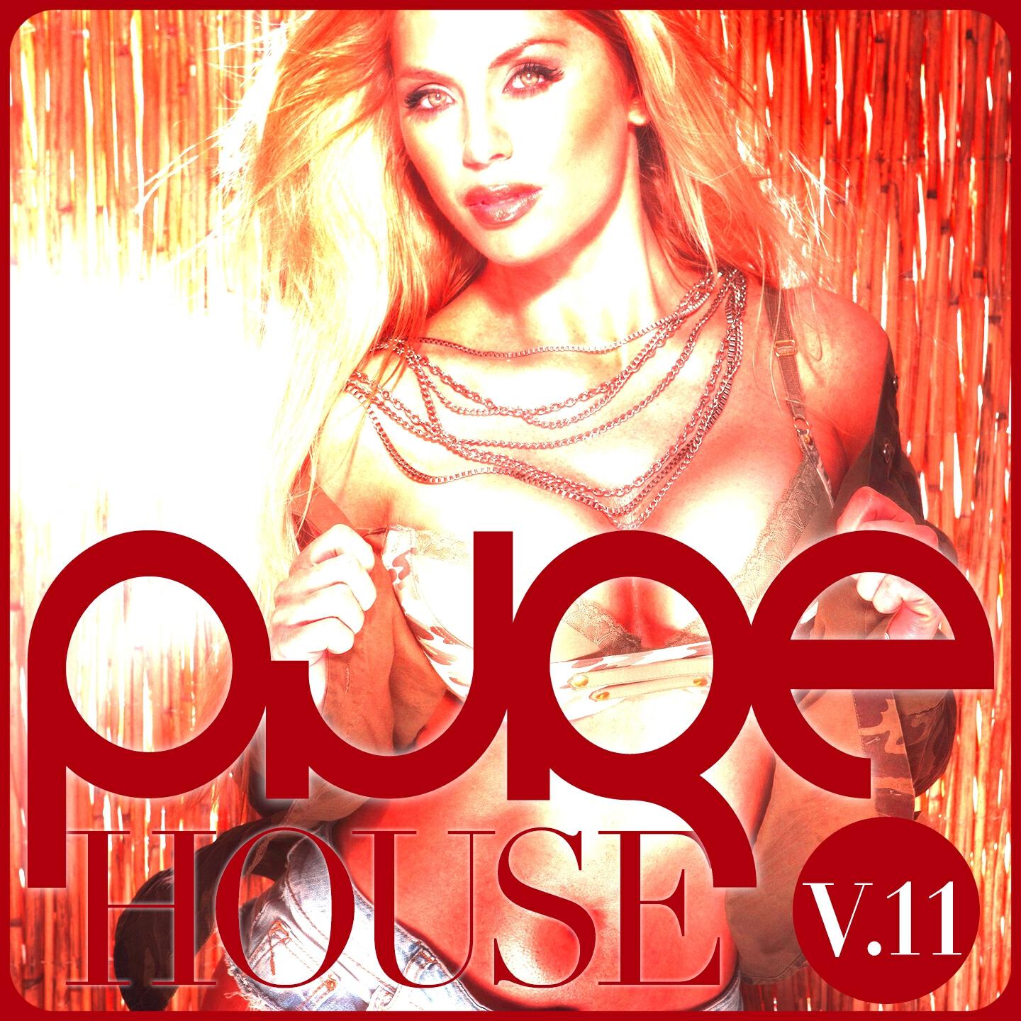 Релиз PURE House, Vol. 11