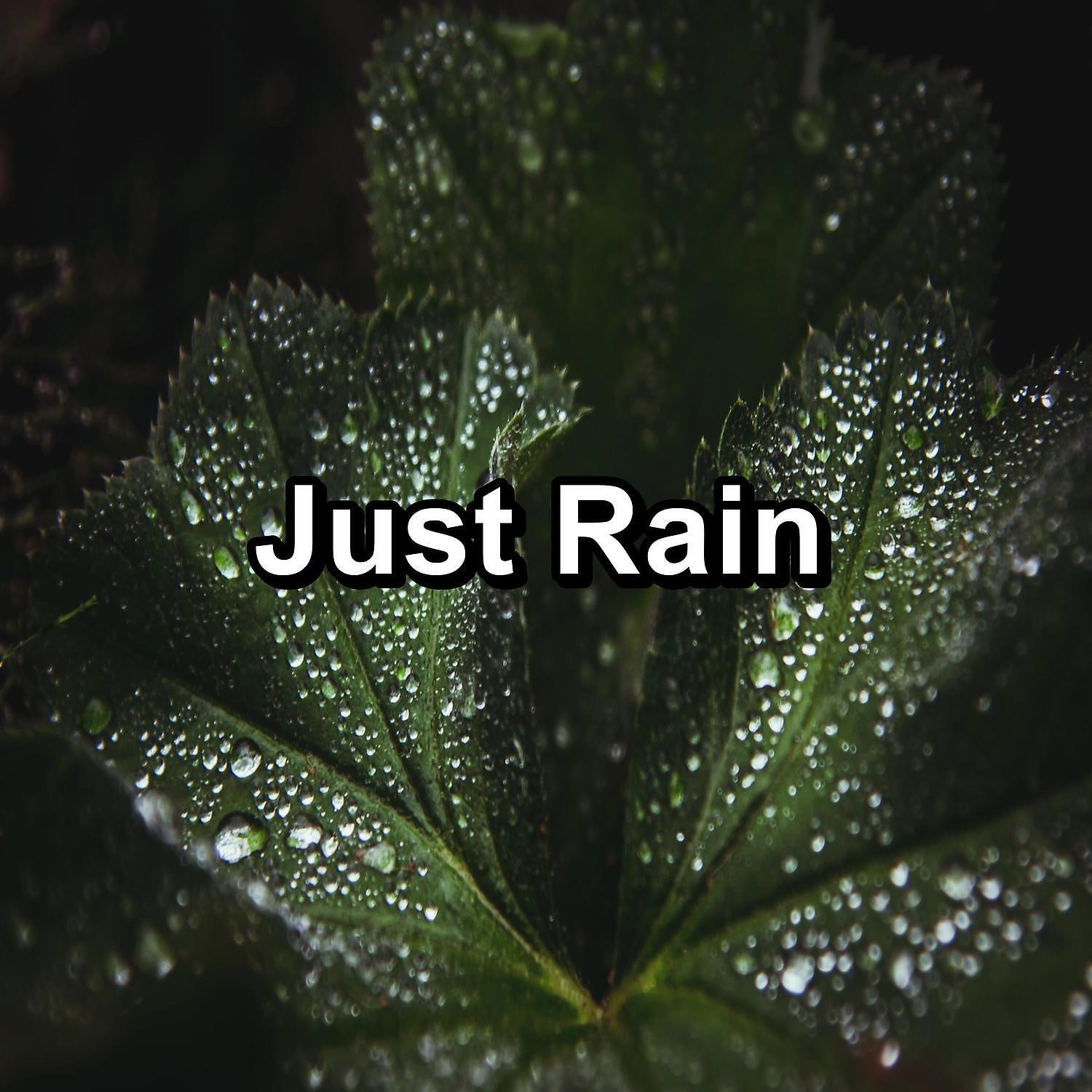 Релиз Peaceful Rain Loopable