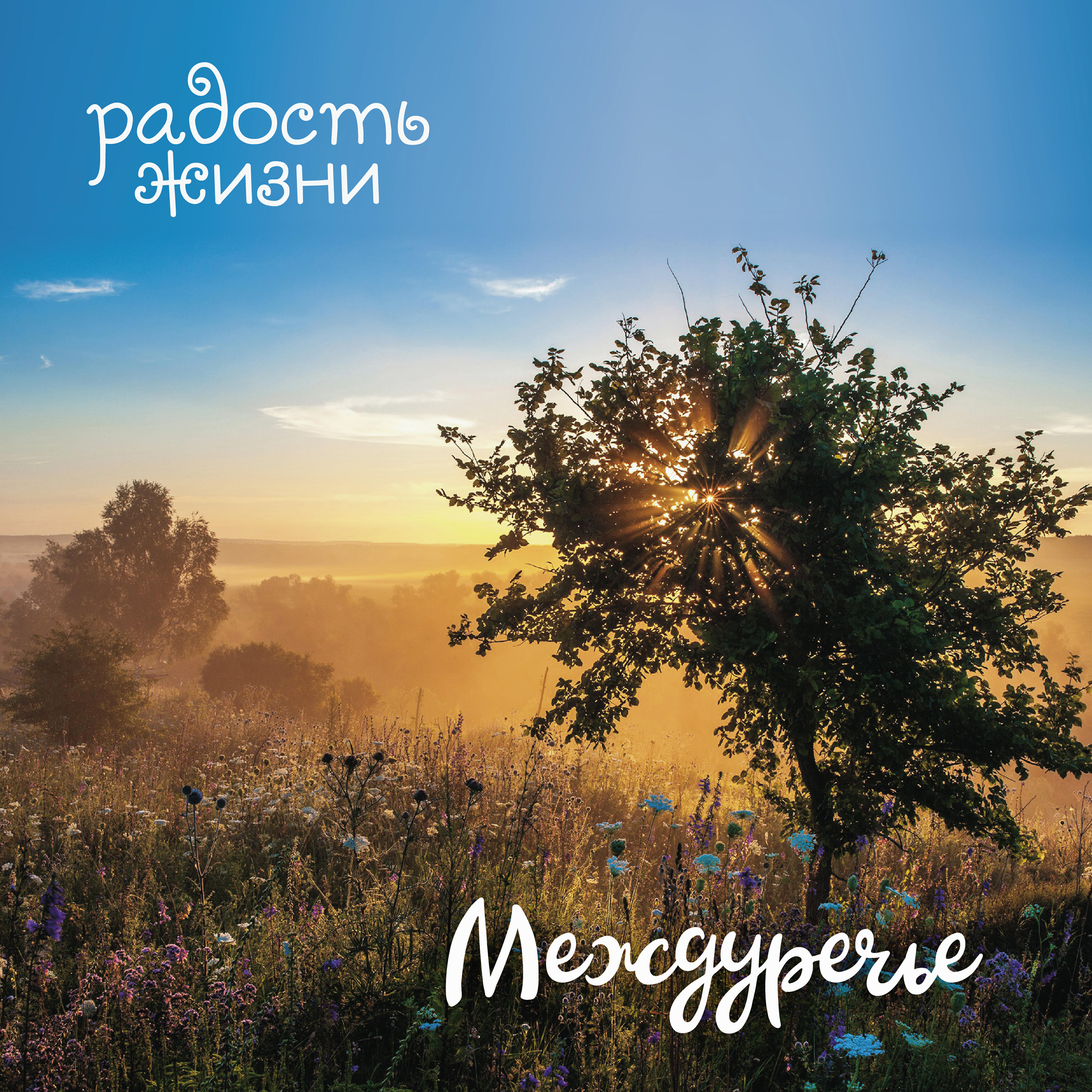 Релиз Радость жизни – Междуречье