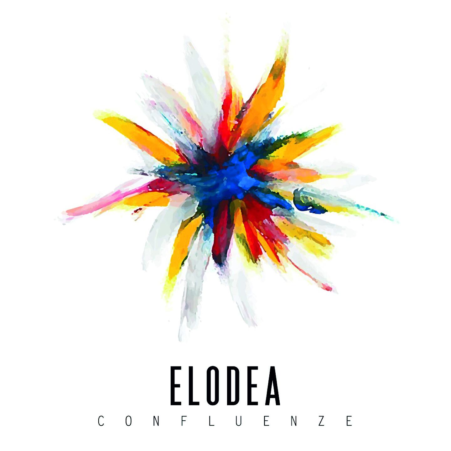 Релиз Confluenze