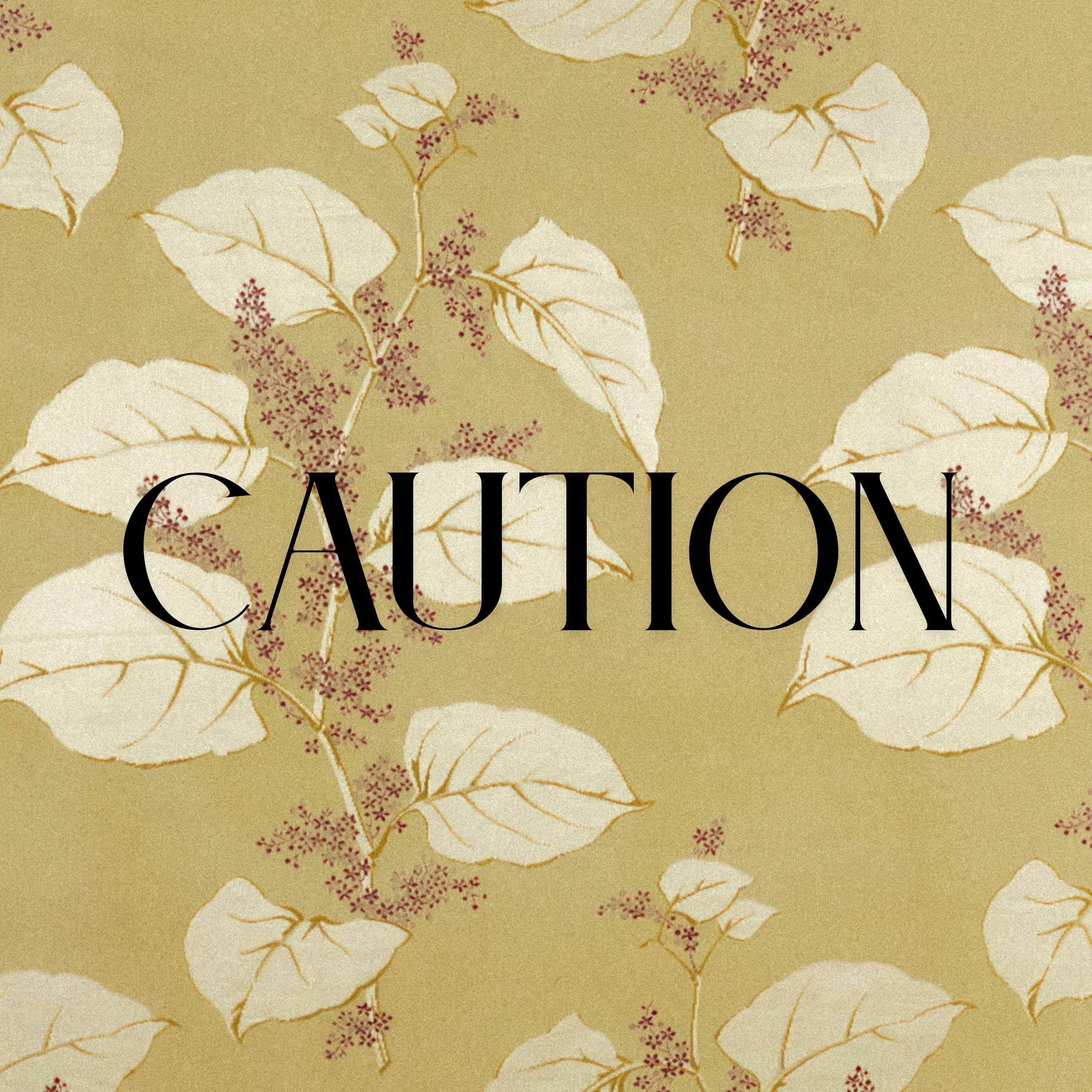 Релиз Caution