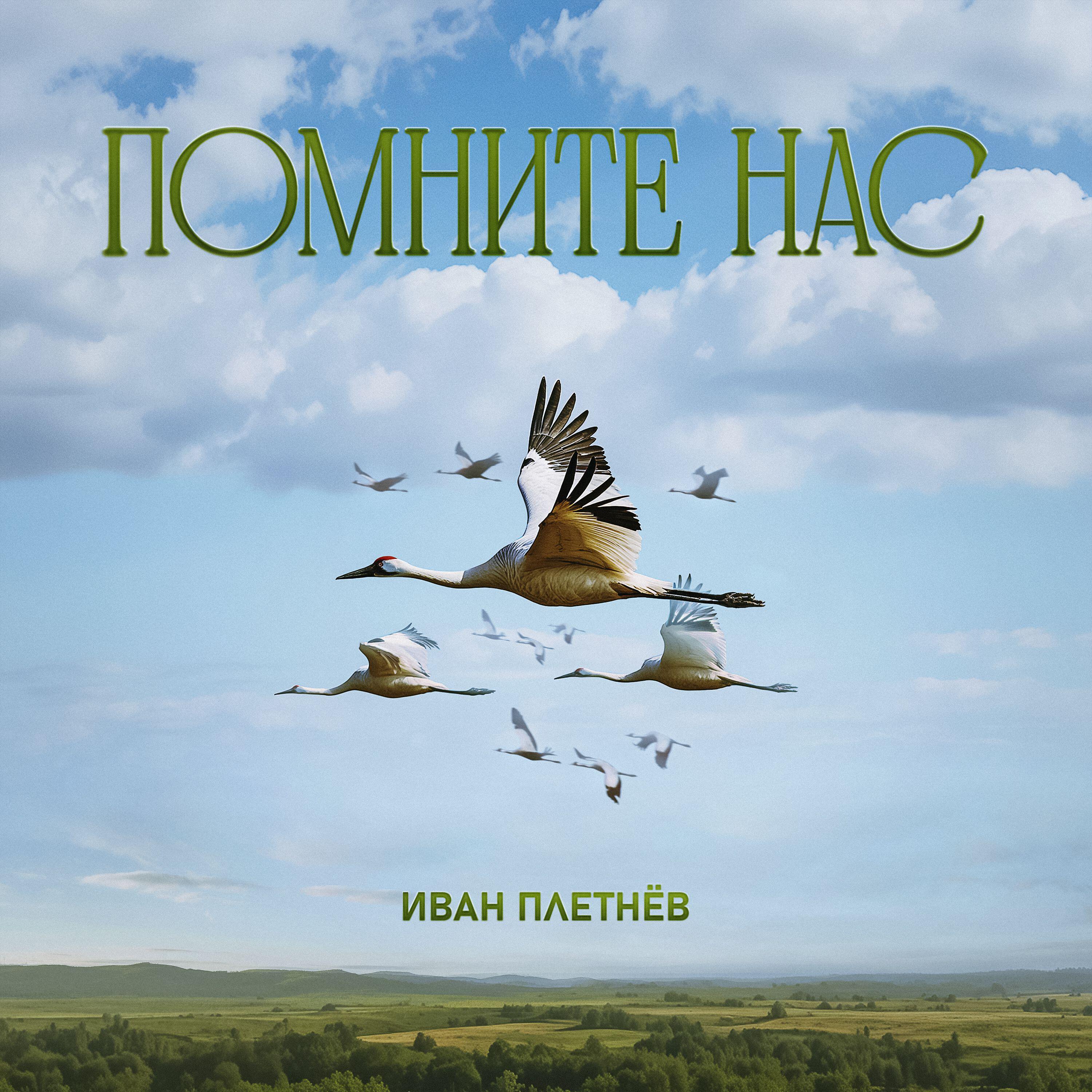 Релиз Помните нас